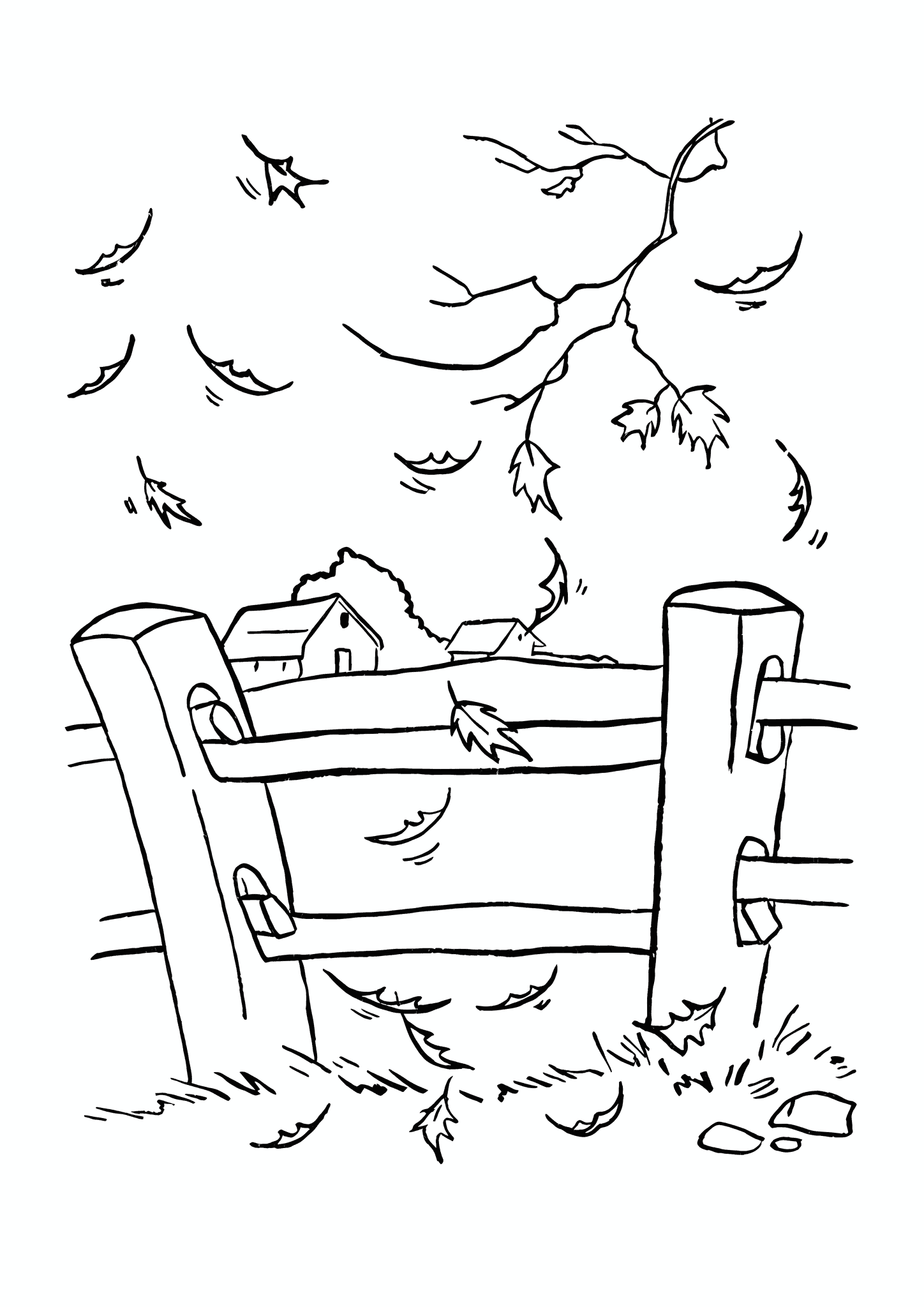 Autumn Has Arrived
