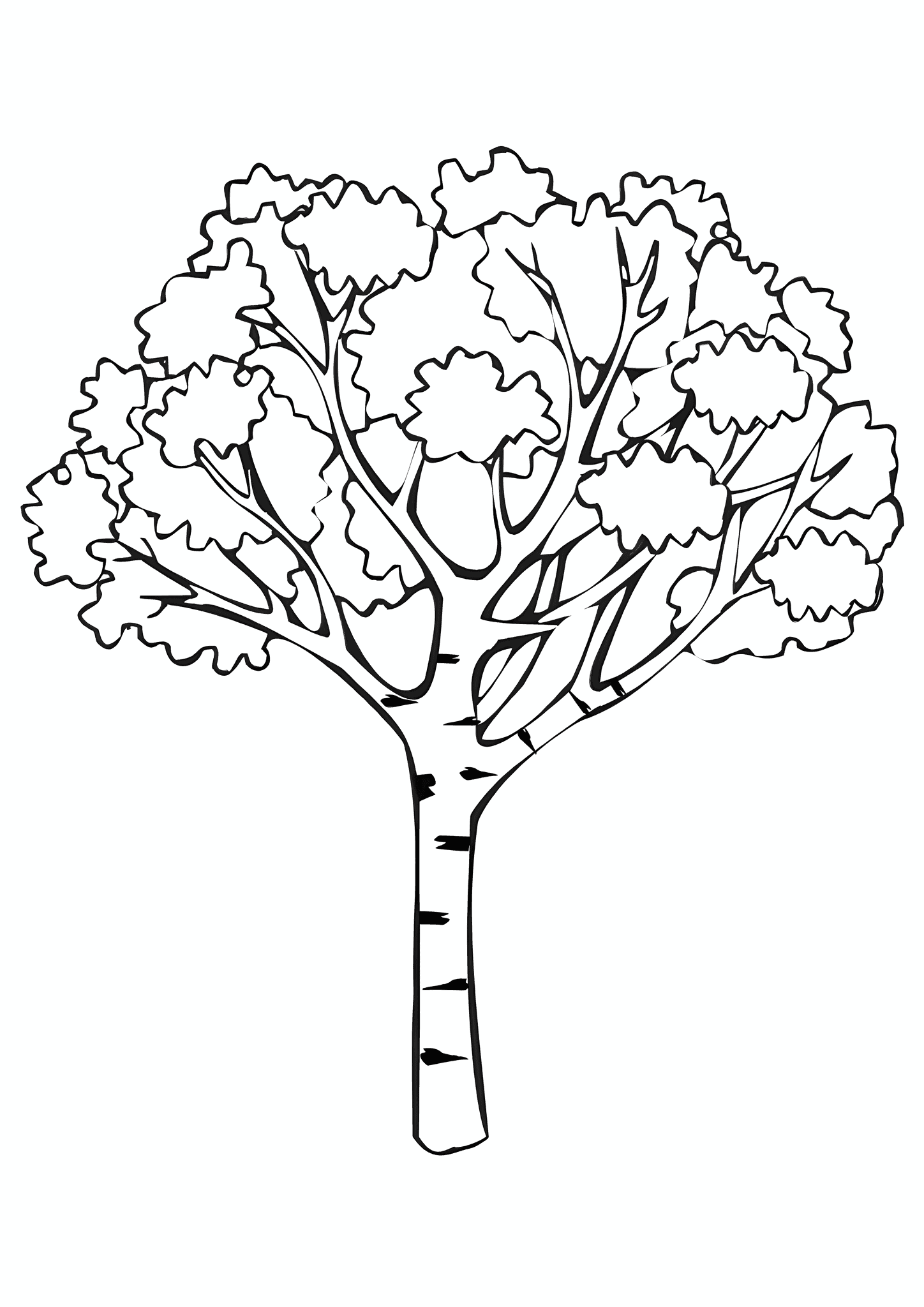 Autumn: White Birch