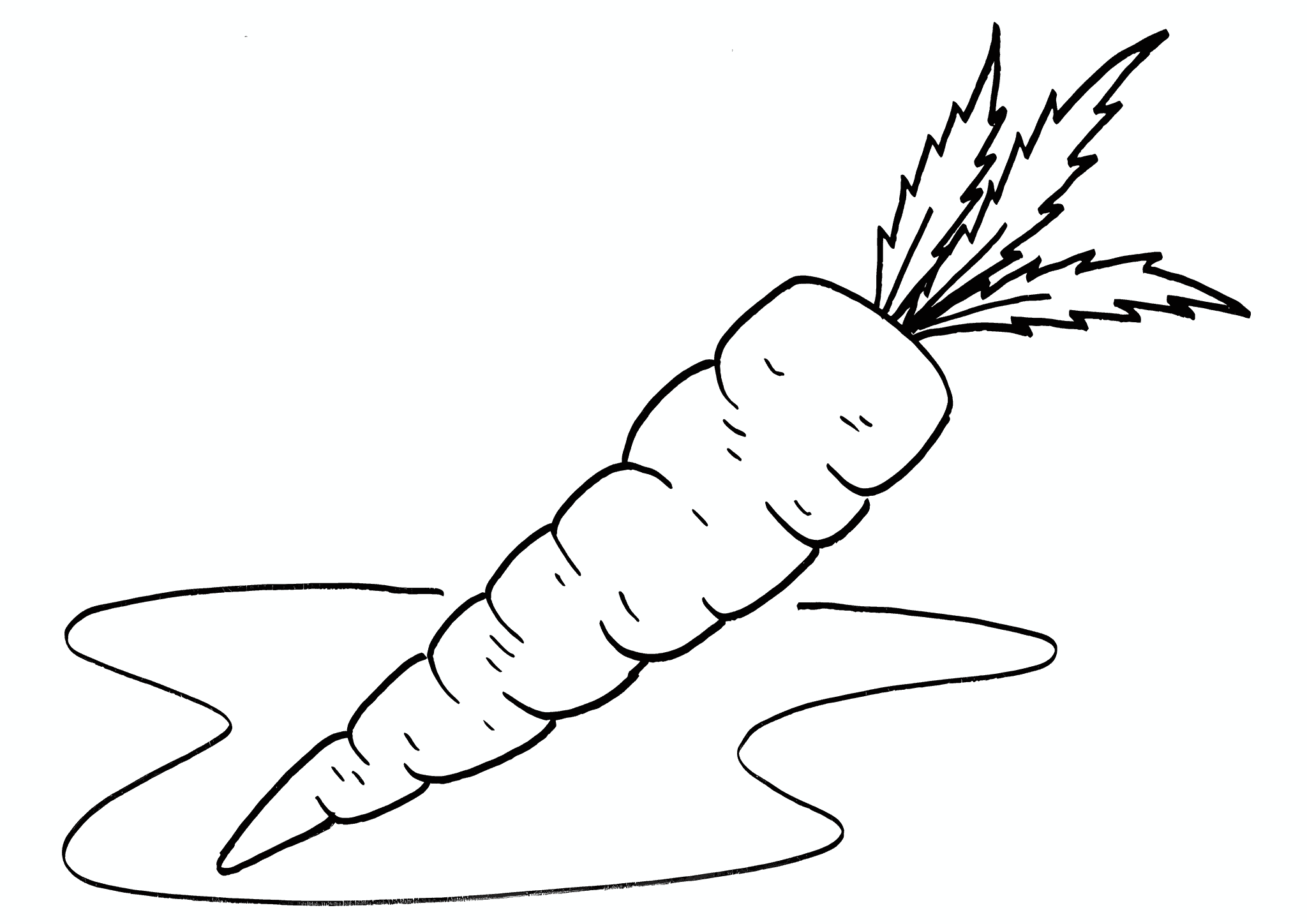 Carrots: Only From the Bed