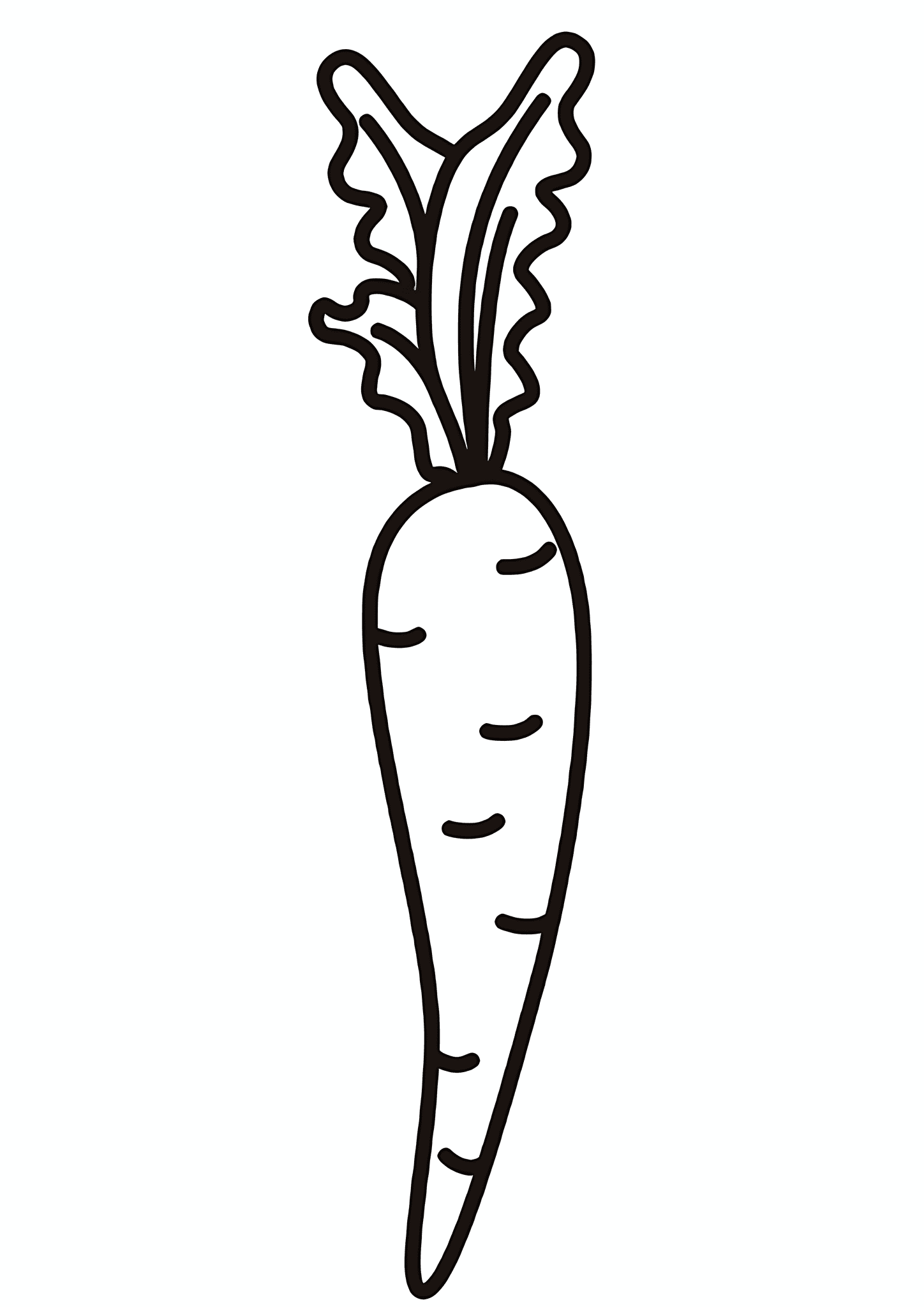 Carrots Vita Longa