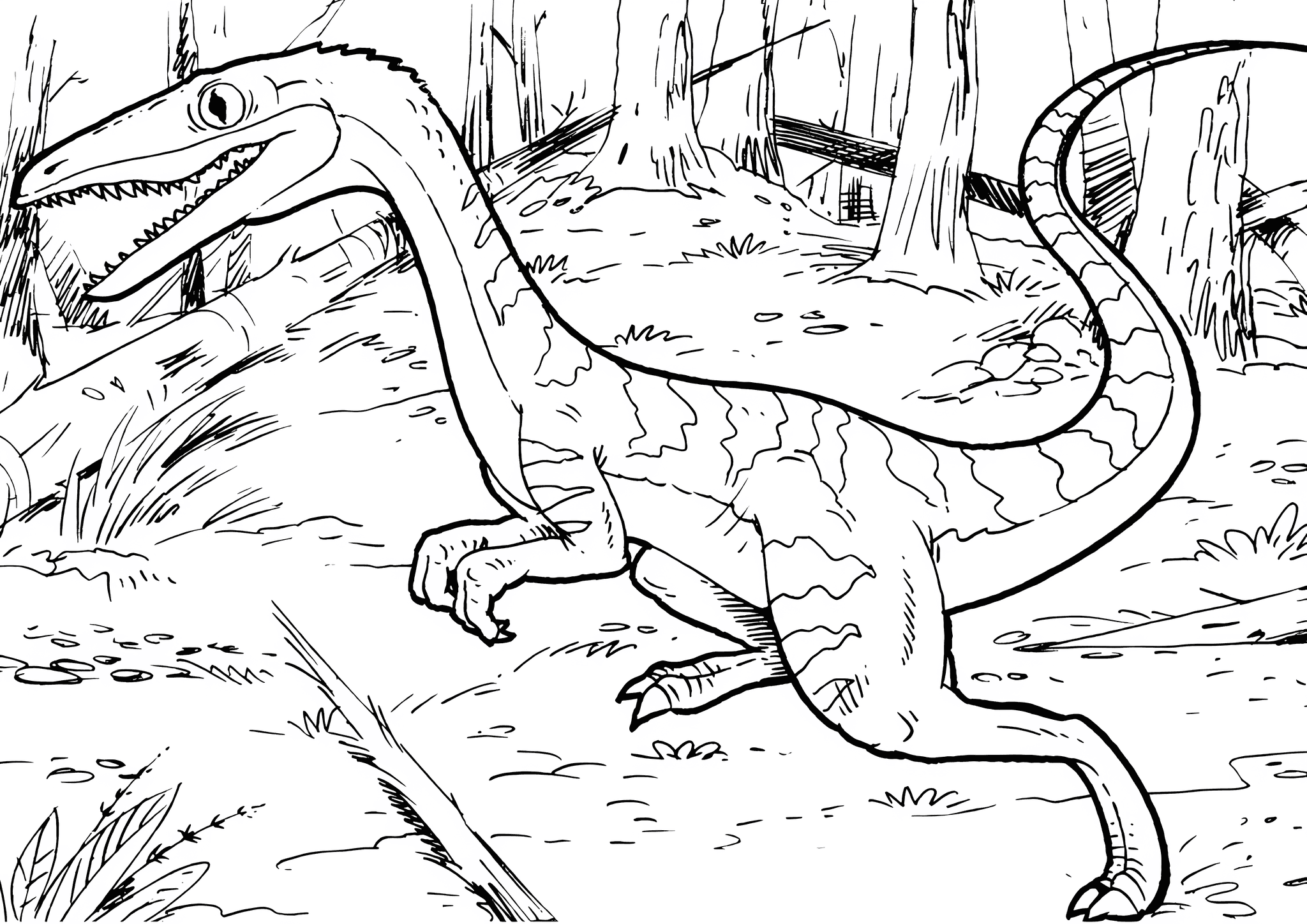 Coelophysis Bauri Dinosaur