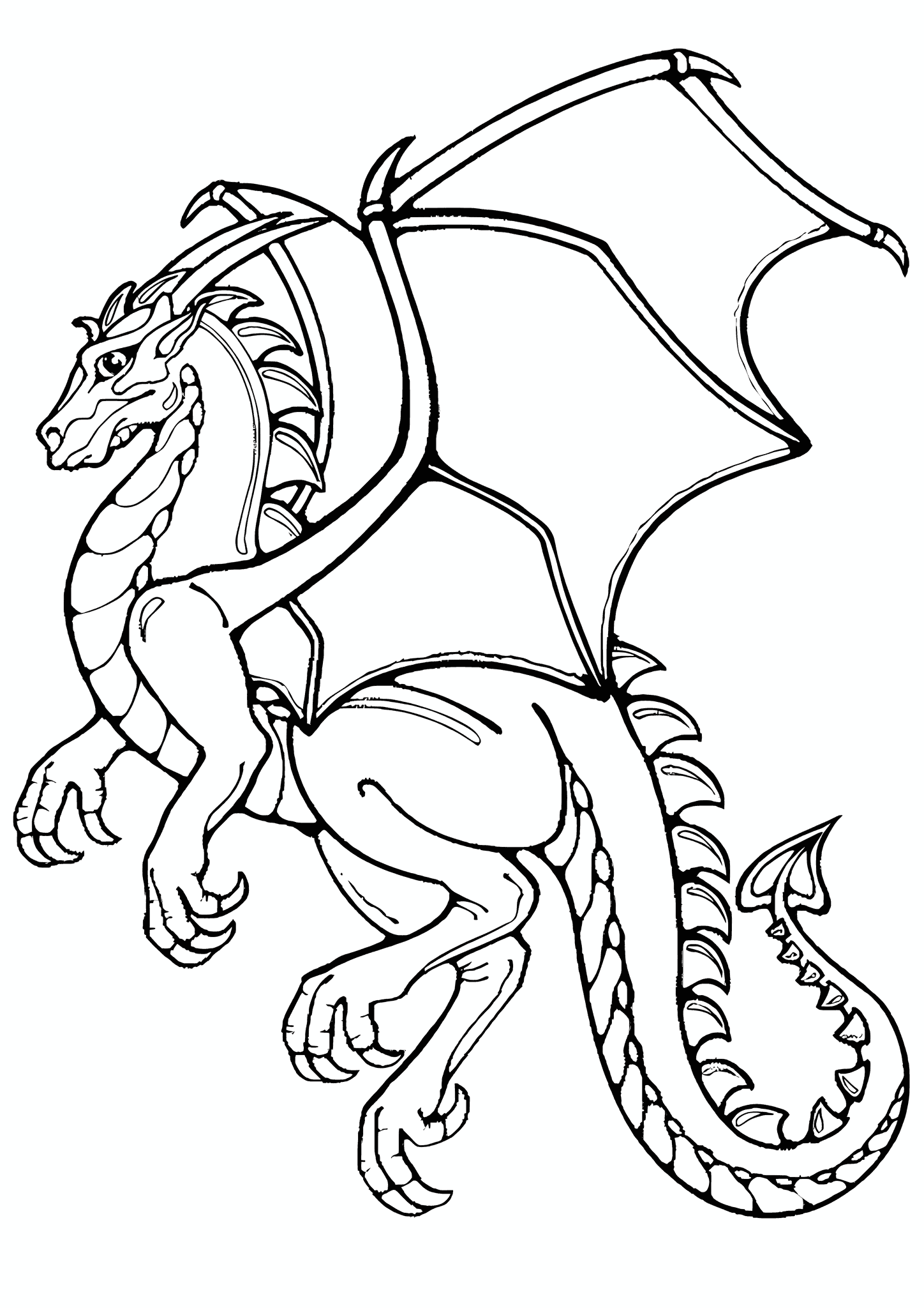 Magnificent Dragon