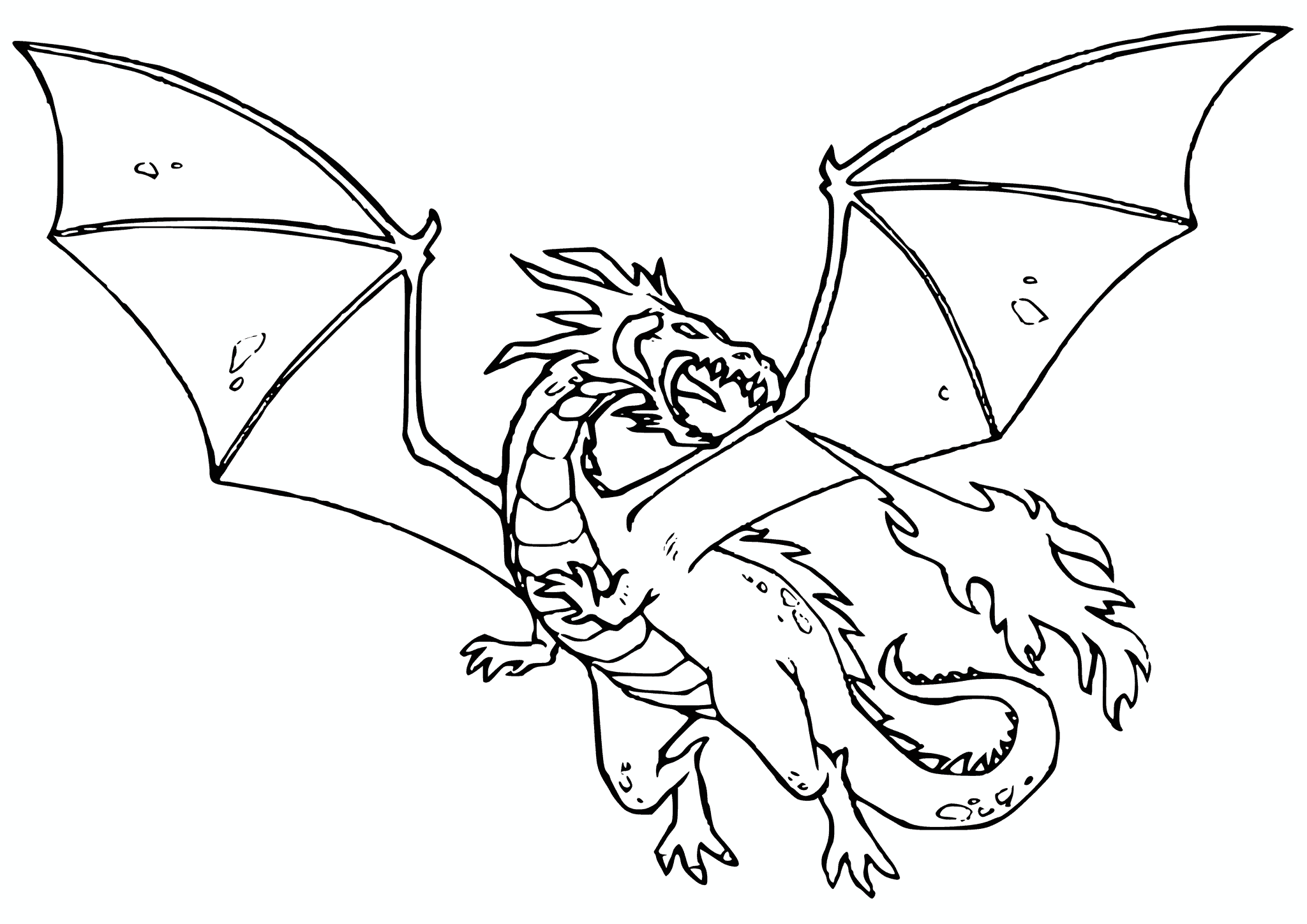Furious Dragon