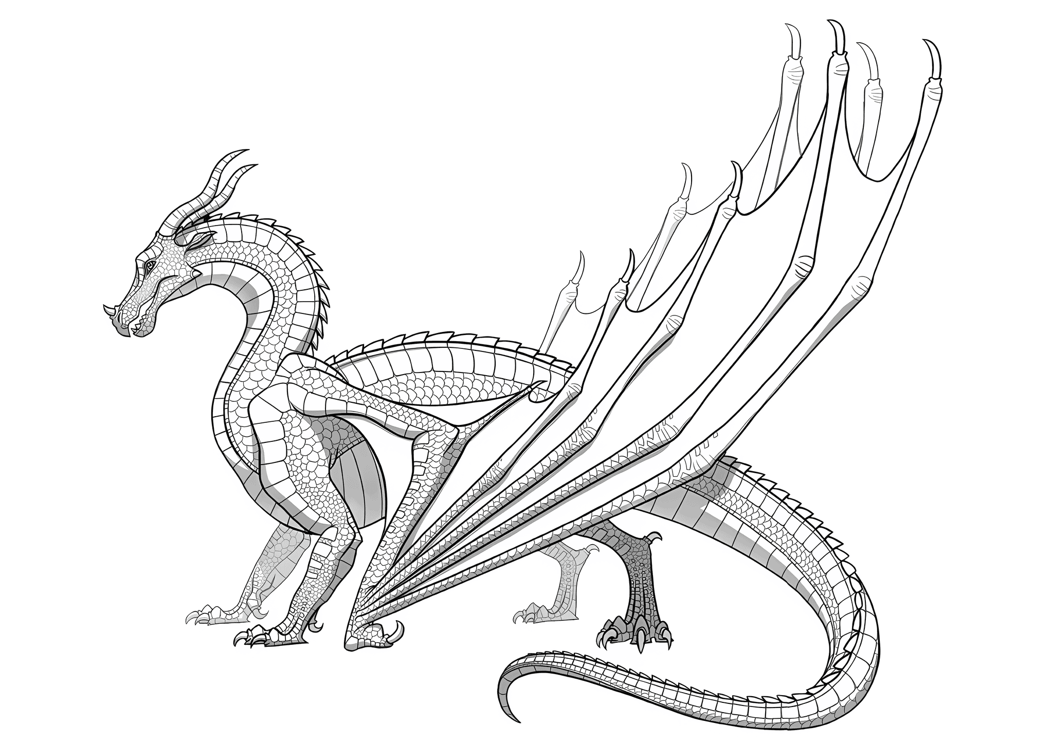 Six-legged Lizard