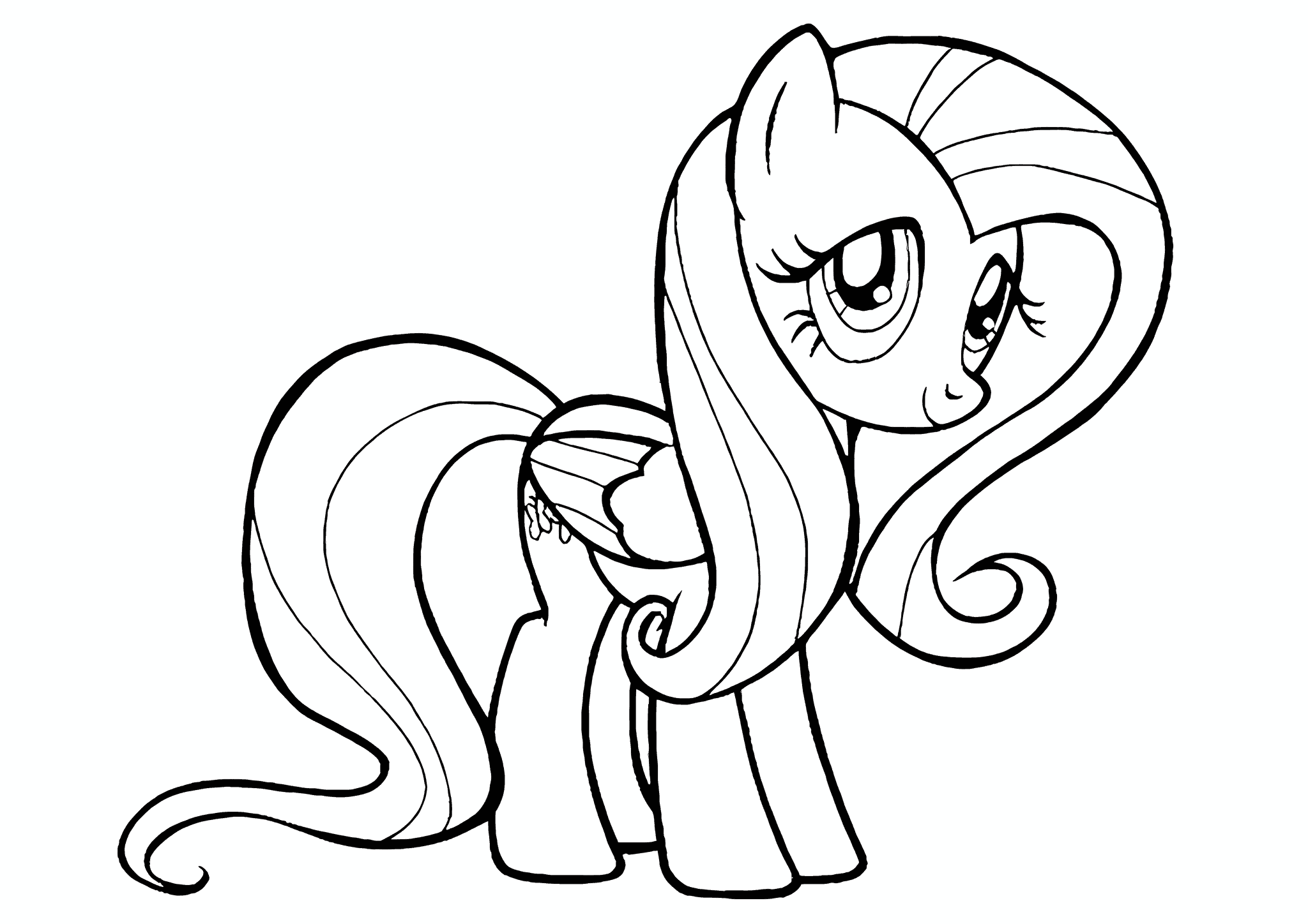 Fluttershy Resident of the Evergreen Forest