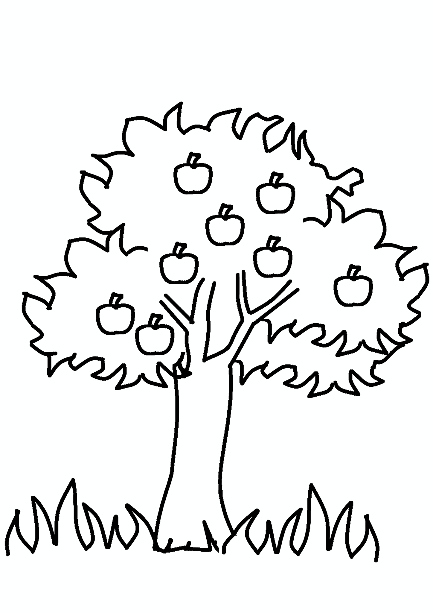Apple Tree