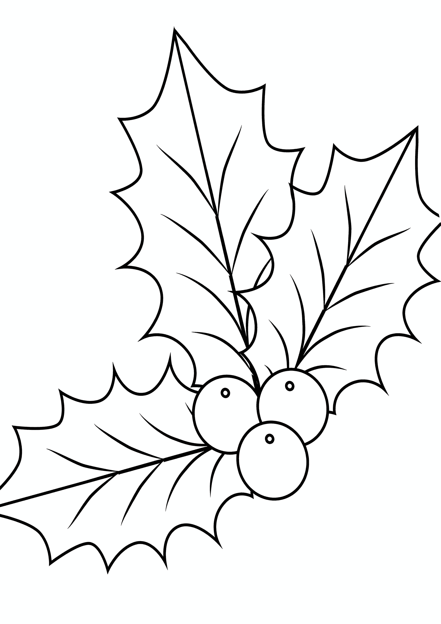 Leaves of Holly