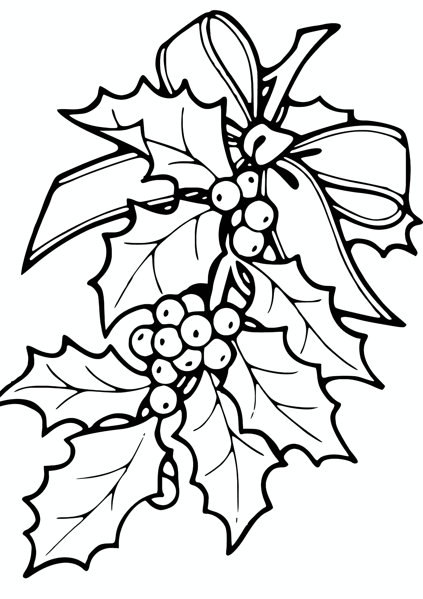 Branch of Holly