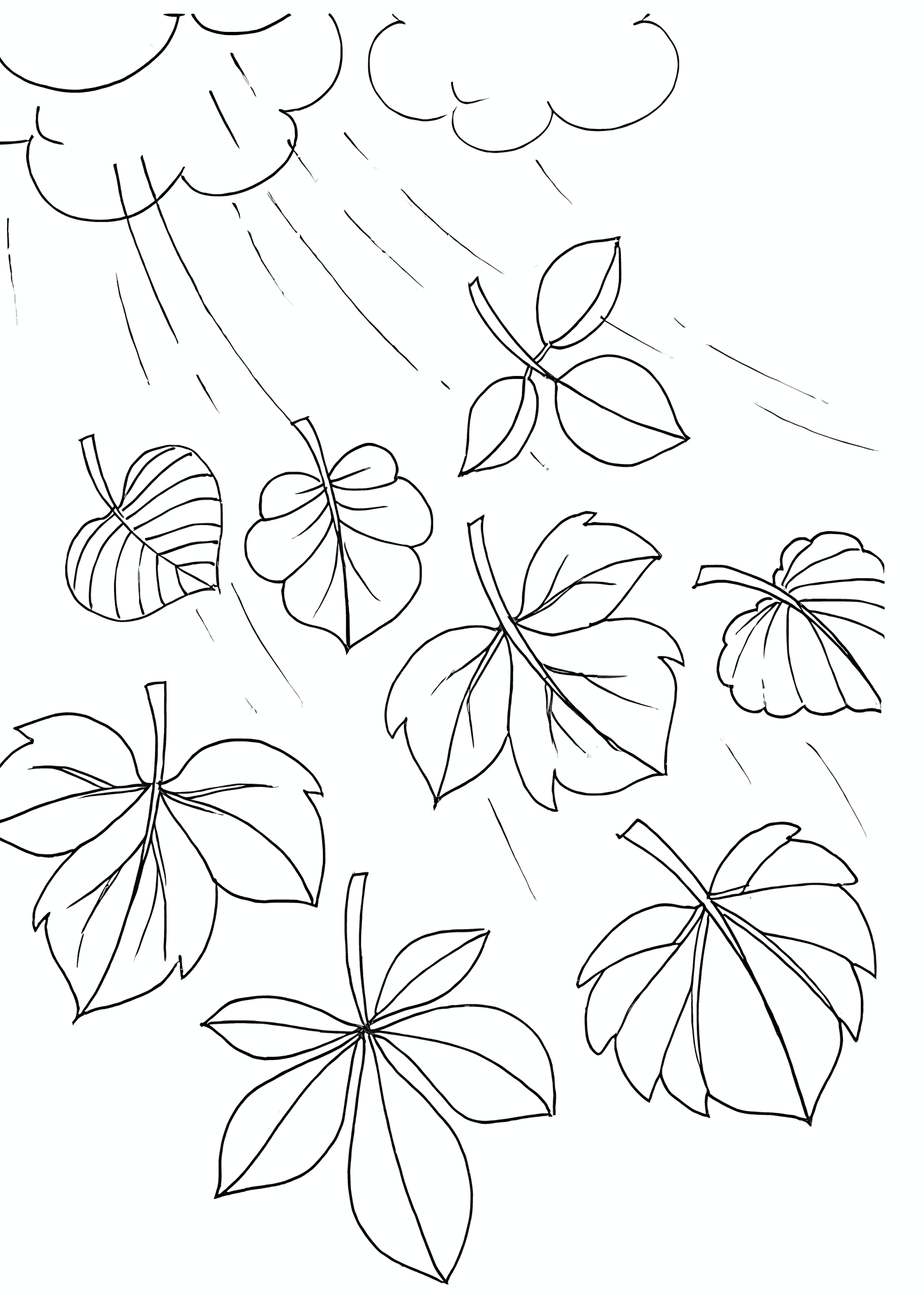 Rainy Autumn Has Shed Its Leaves