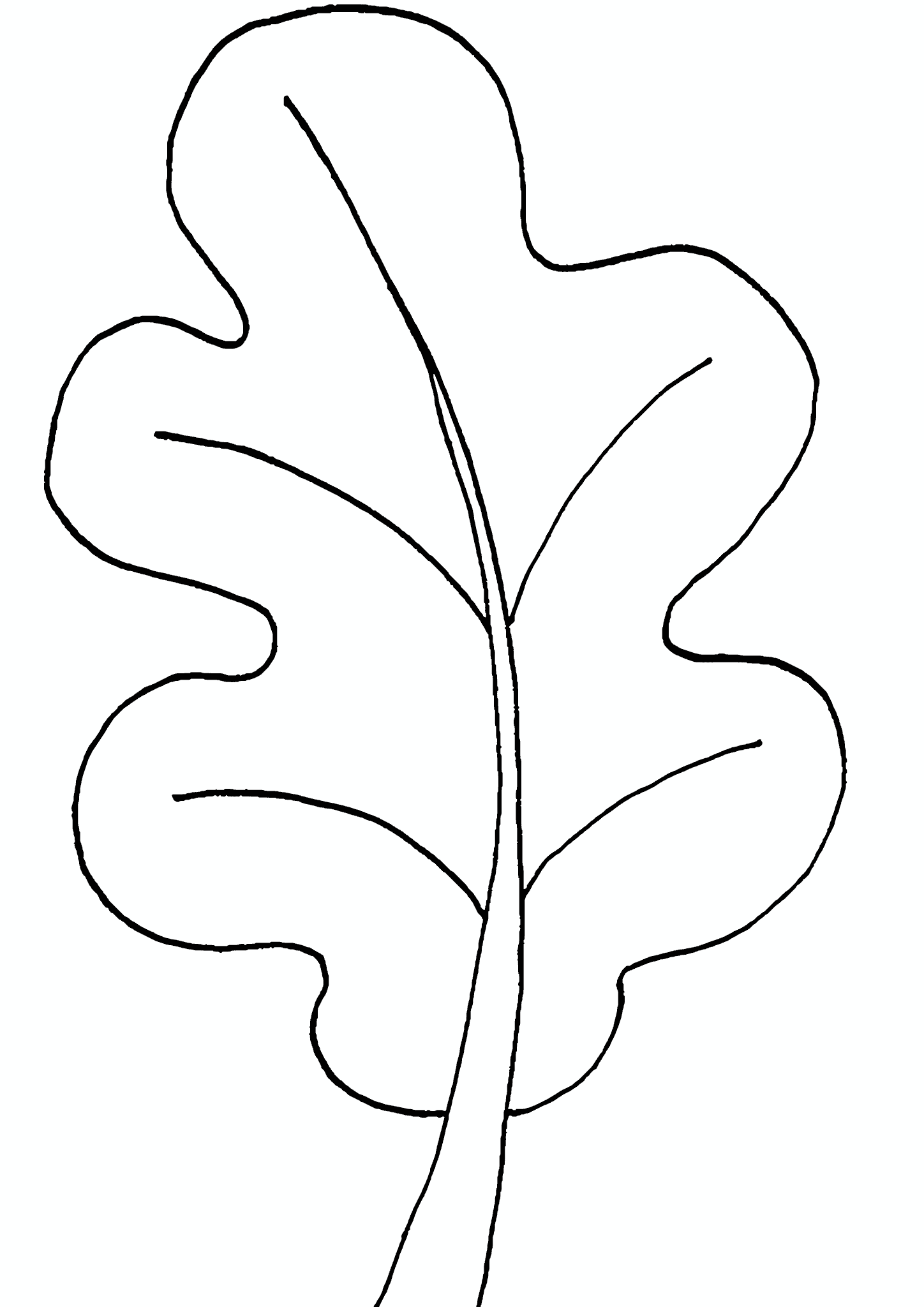 Oak Leaf