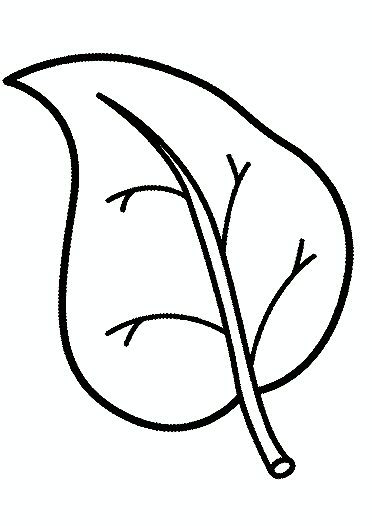 Birch Leaf