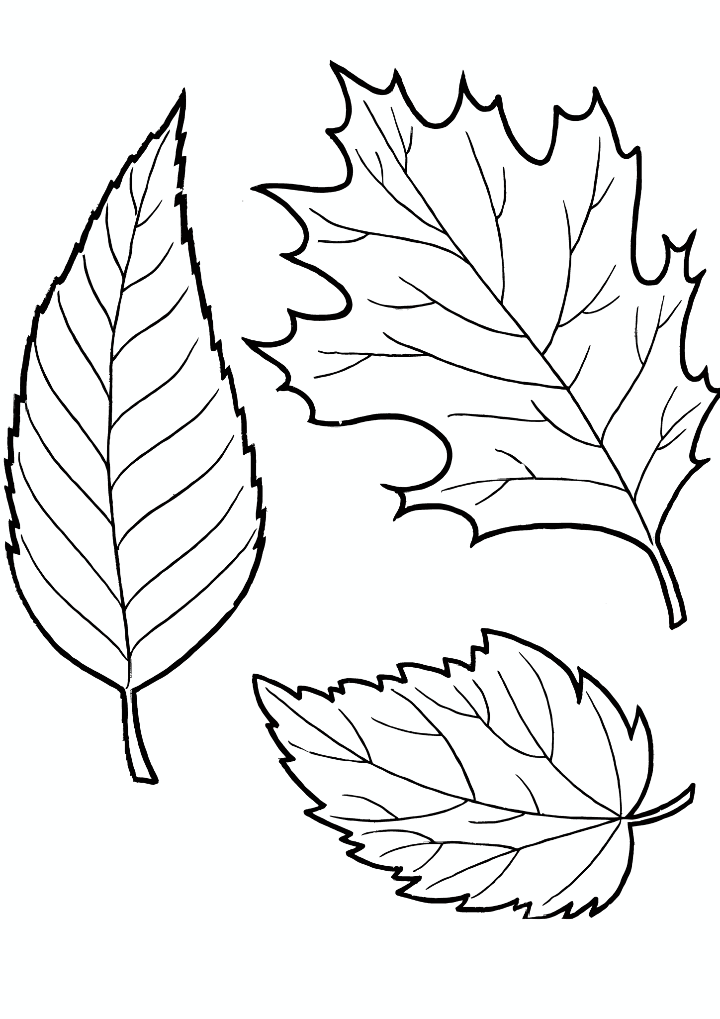 Autumn Leaves