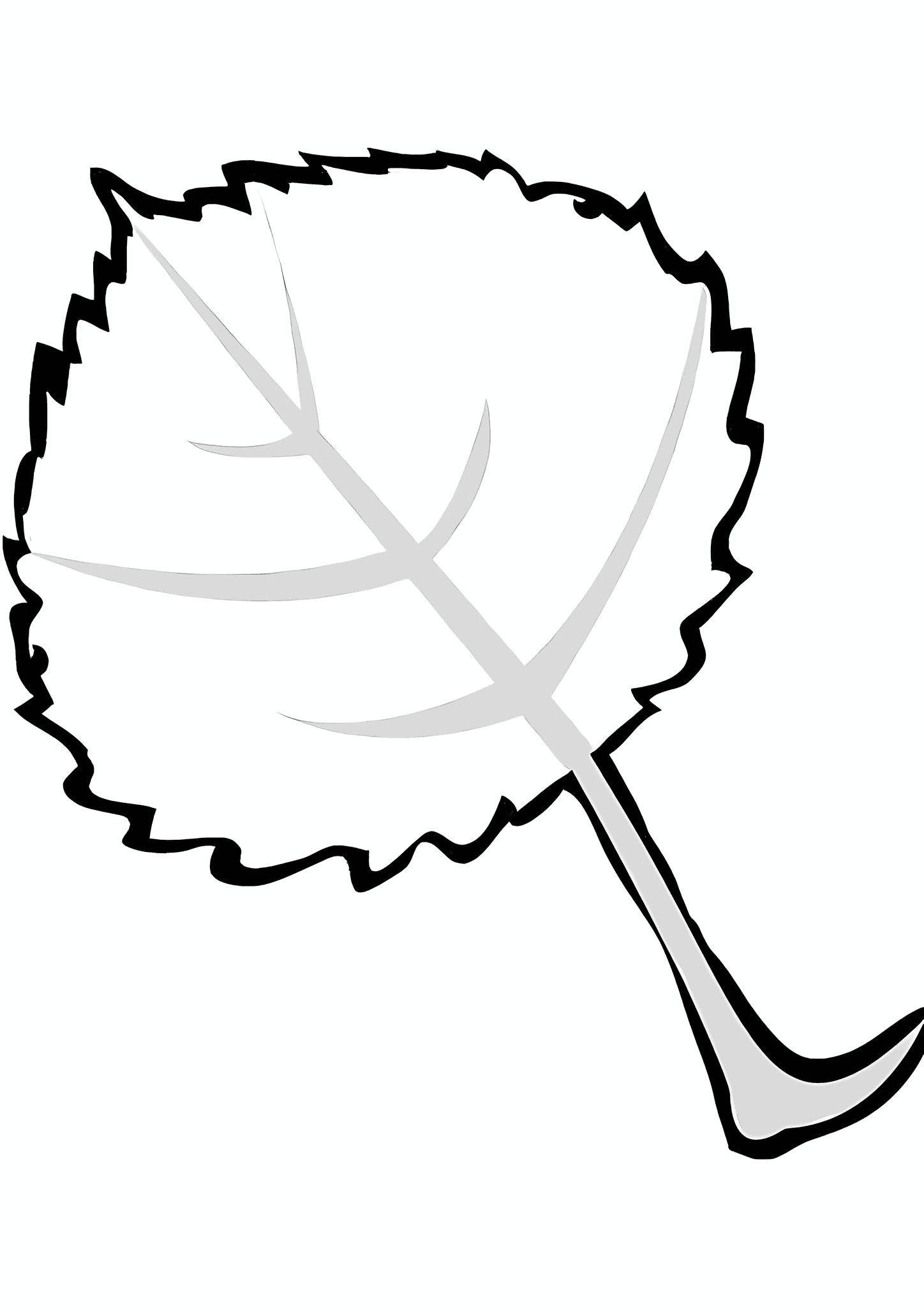 Leaf of a Linden