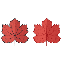 Leaves