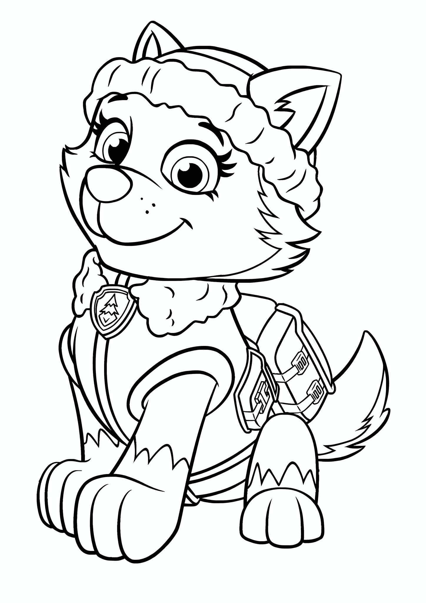 Paw Patrol: Everest