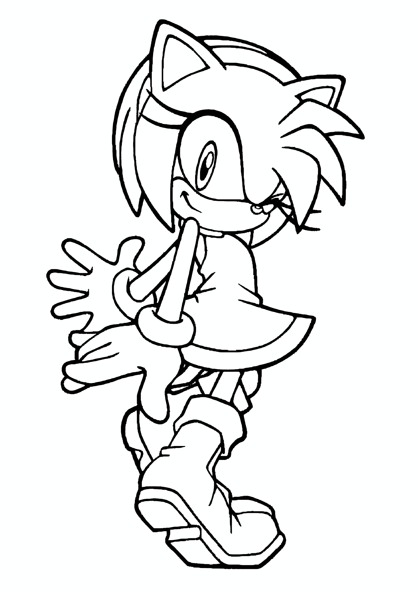 Sonic the Hedgehog Amy Rose