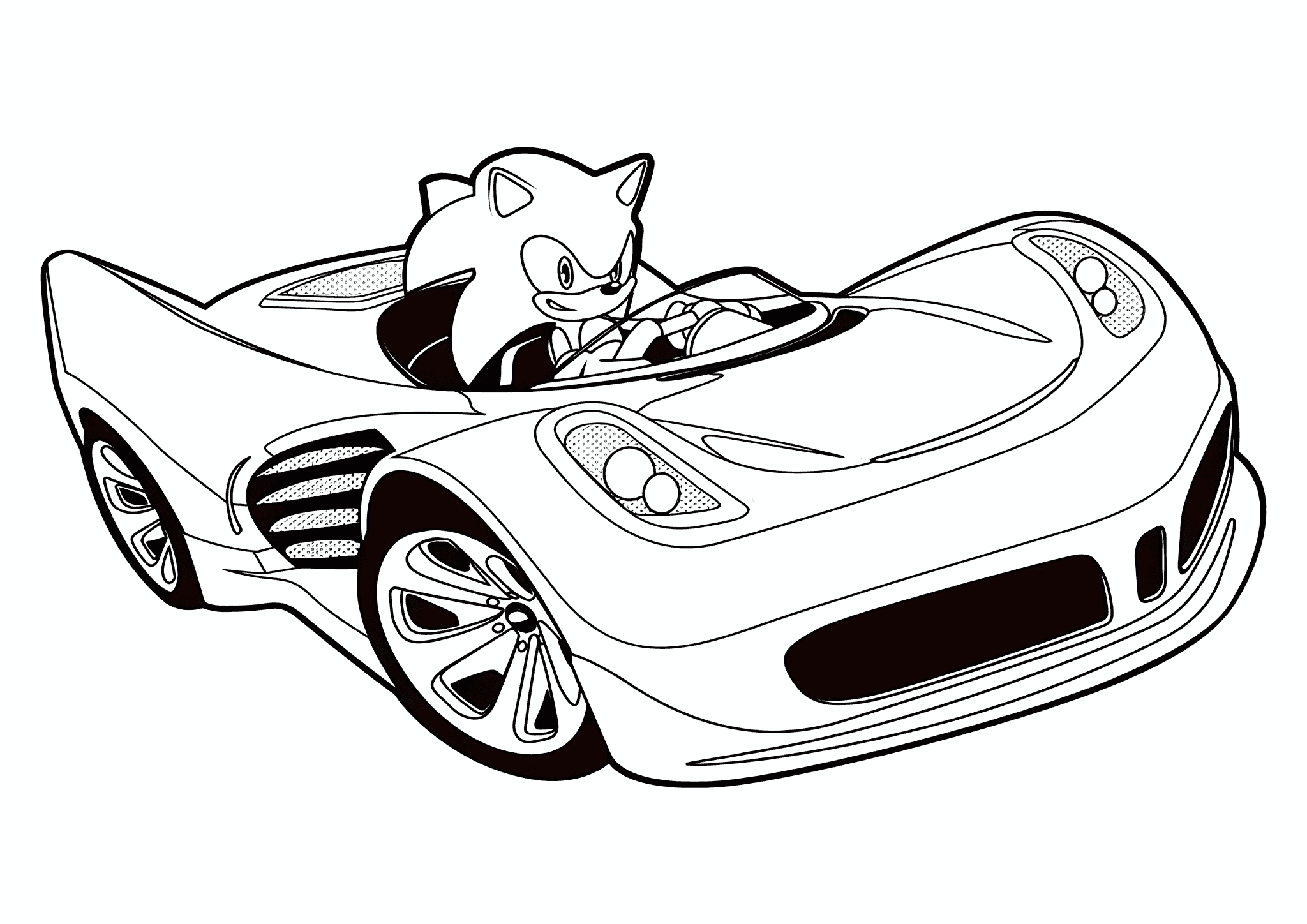 Supersonic Hedgehog in the Car