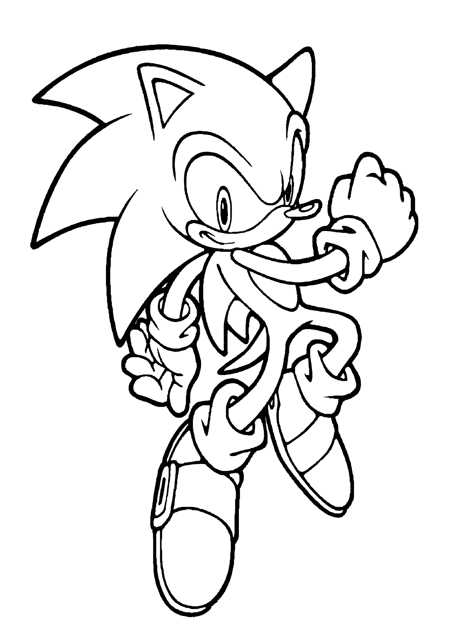 Sonic the Hedgehog in the Jump