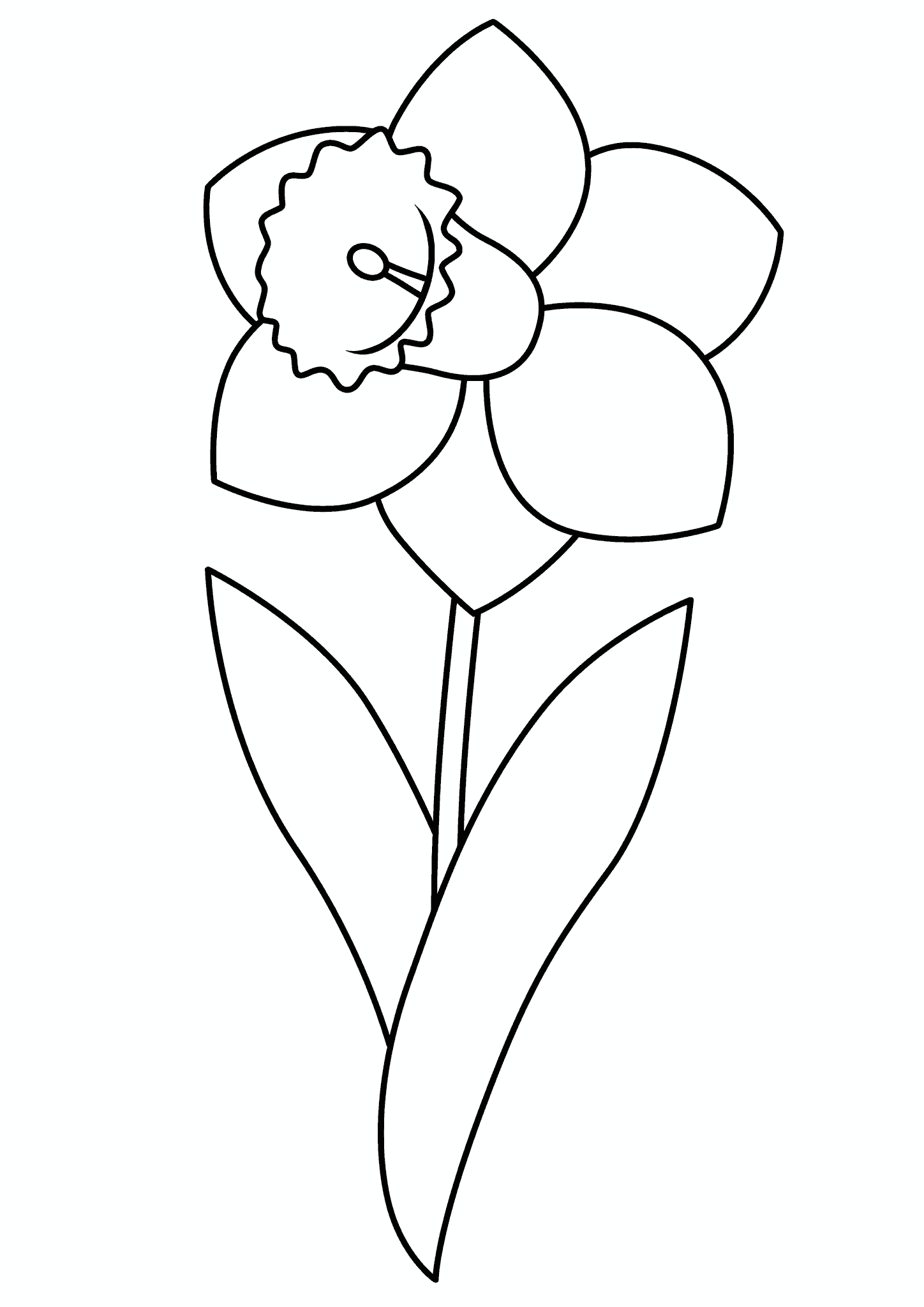 Spring: Narcissus