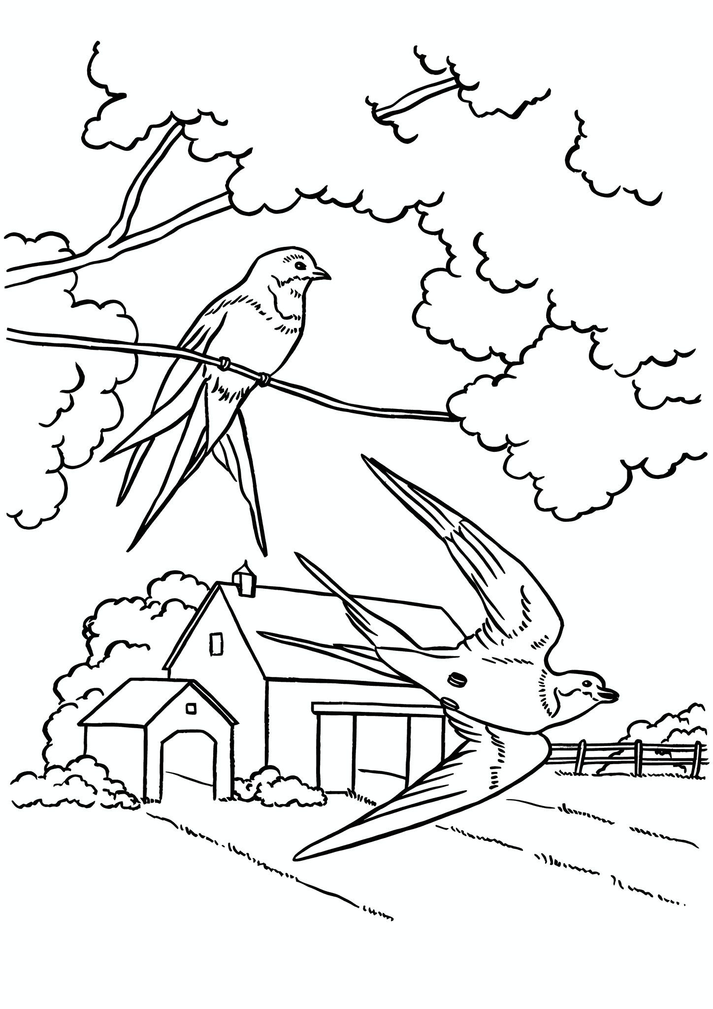 Spring: Swallows