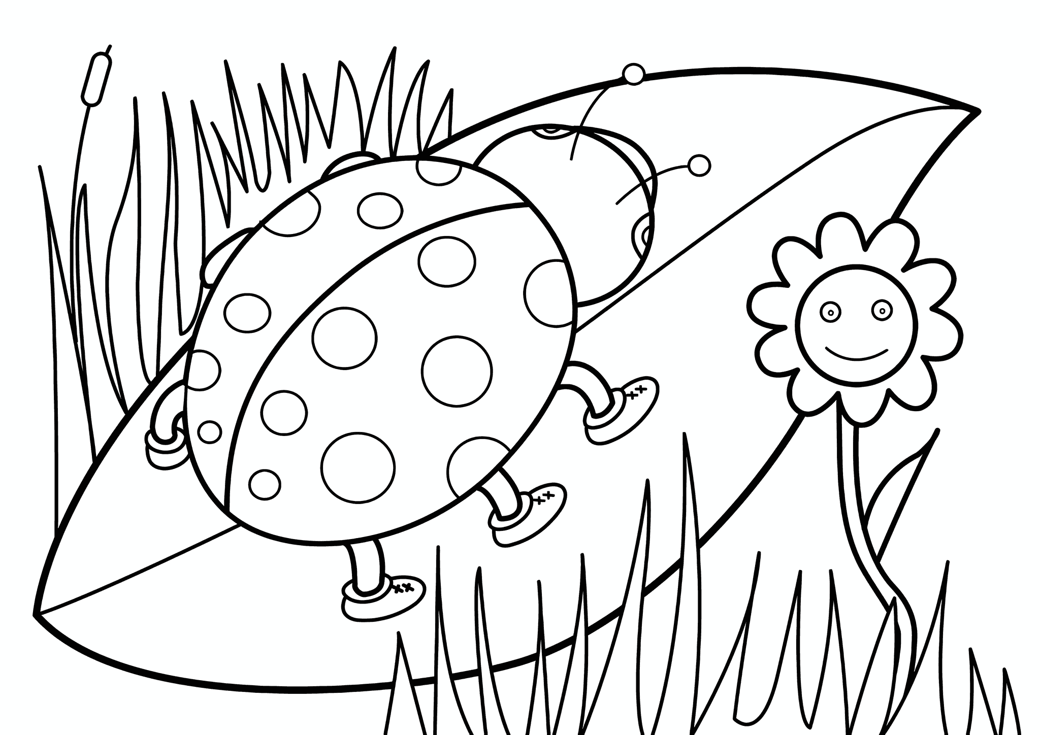 Spring: Ladybug