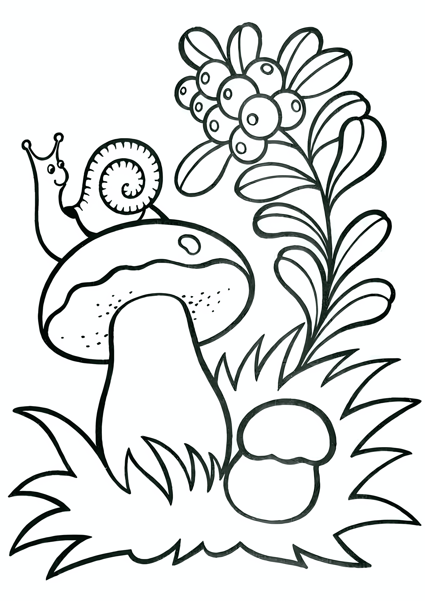 Summer: Snail Sits on a Mushroom