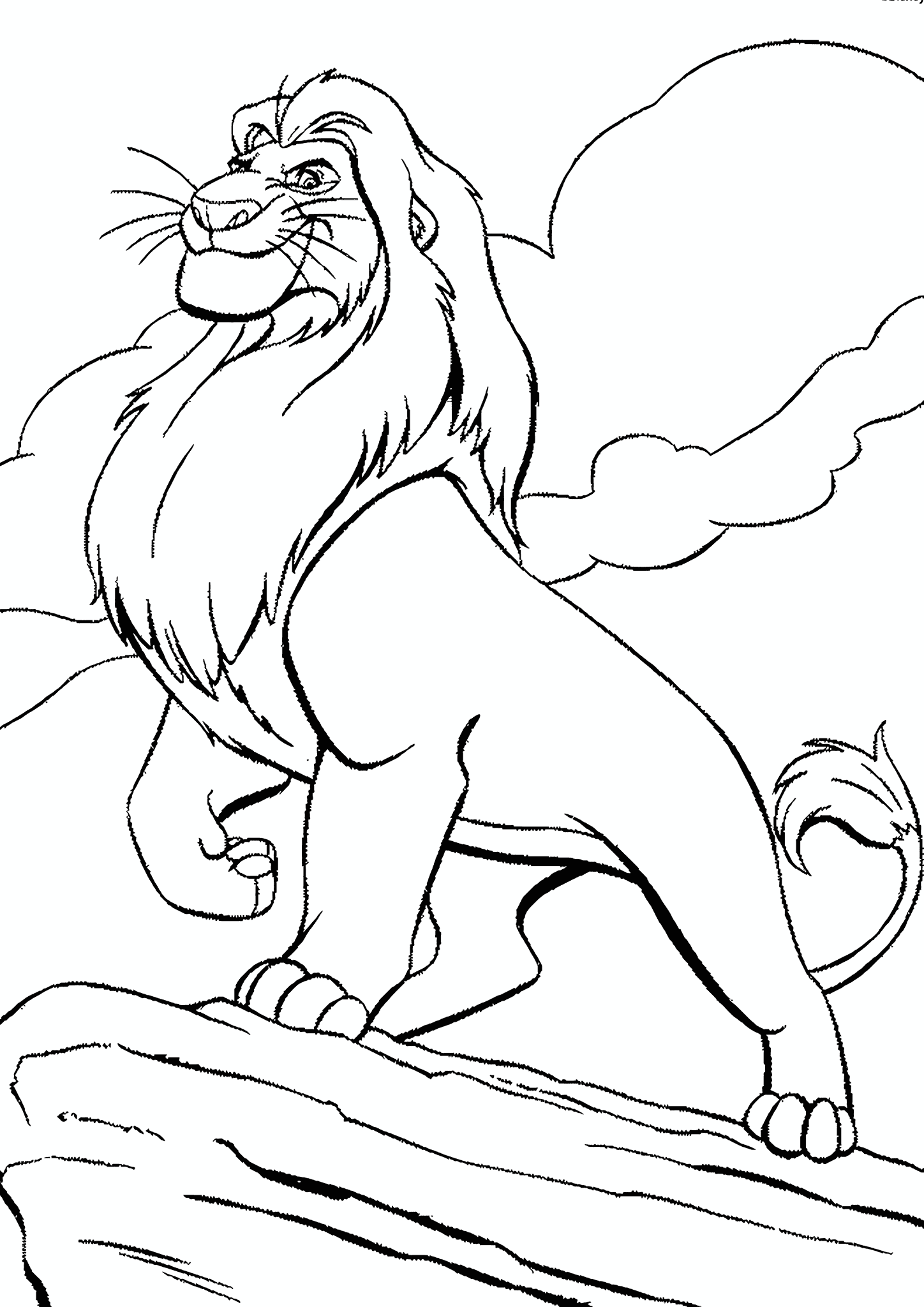 Lion King Mufasa