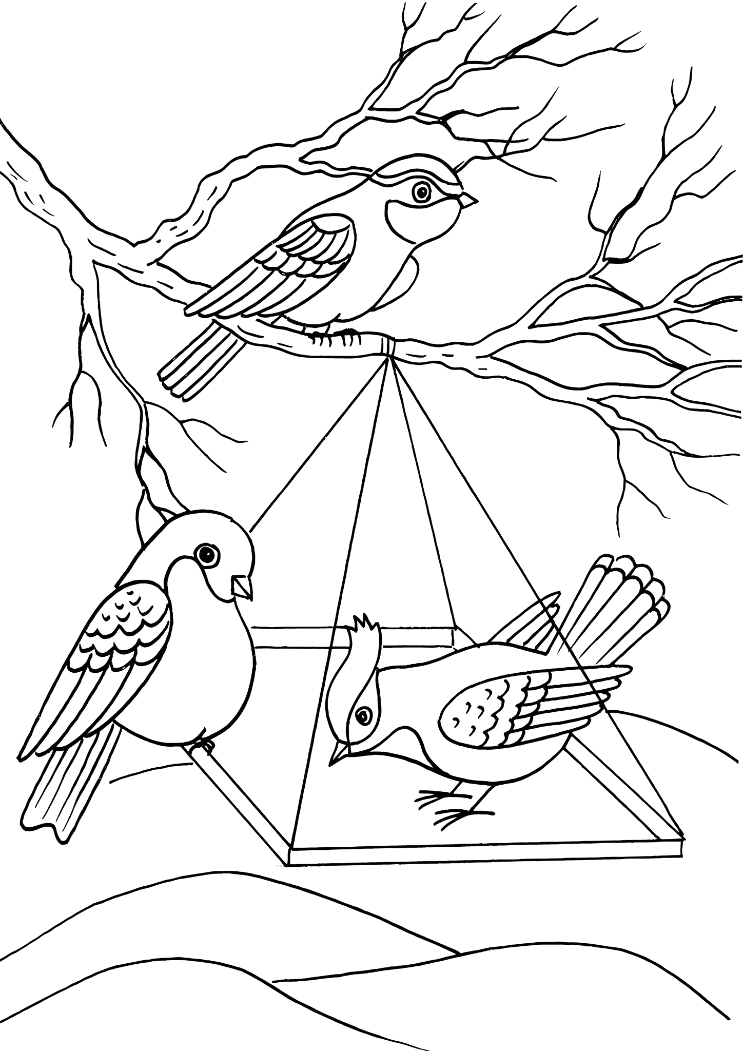 Winter: Bird Feeder