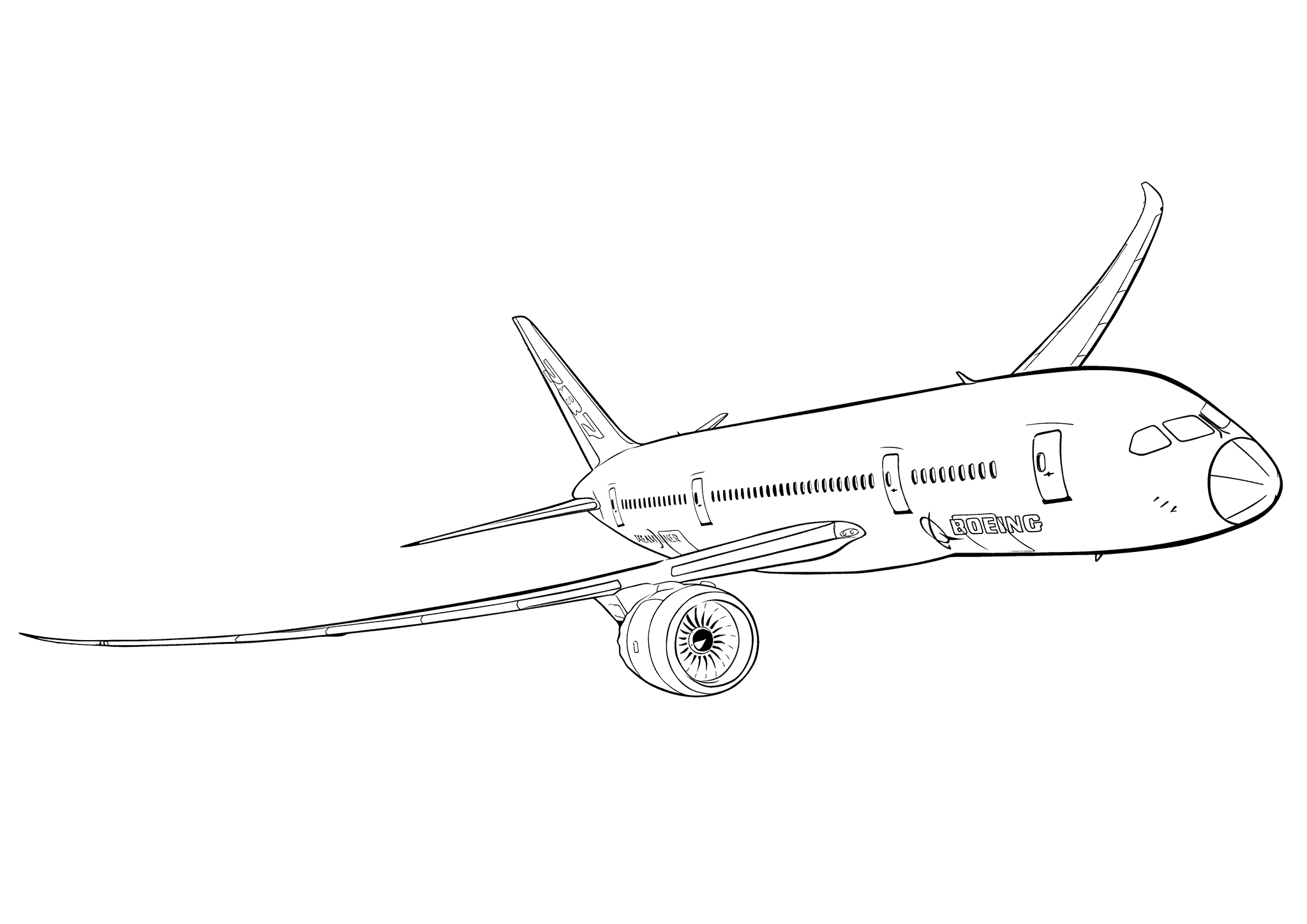 Airplane Boeing 787 Dreamliner (USA)