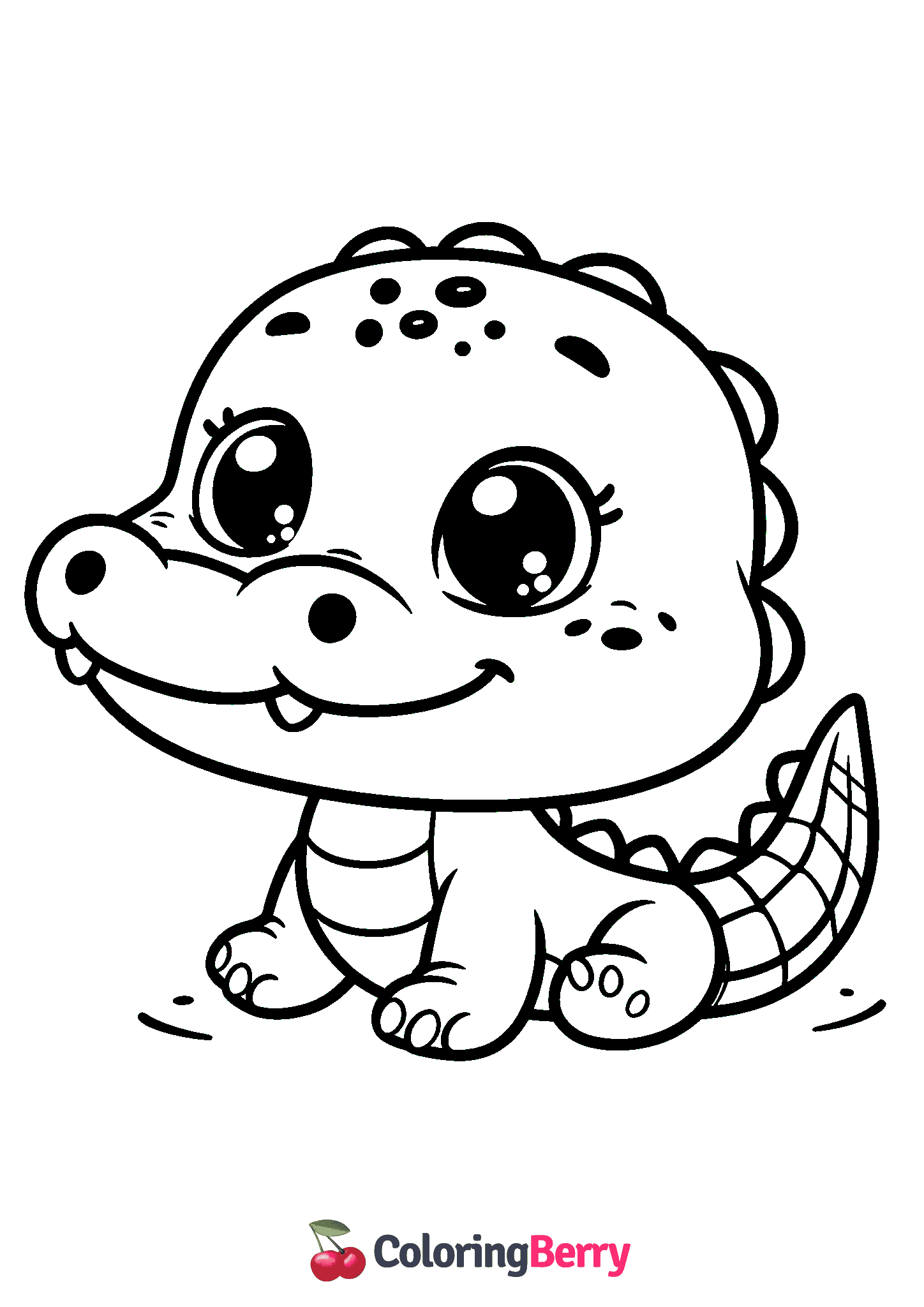 Baby Alligator