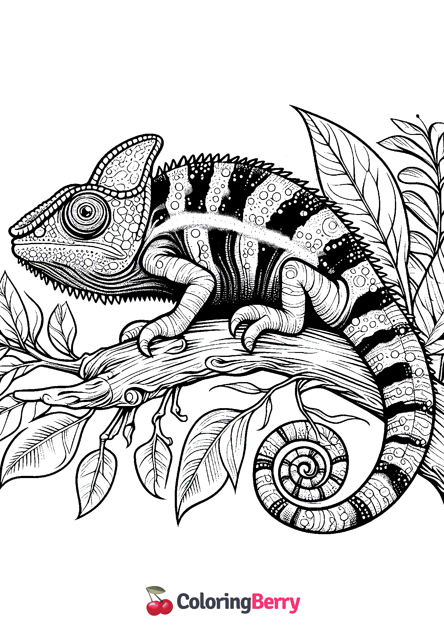 Chameleon Lizard