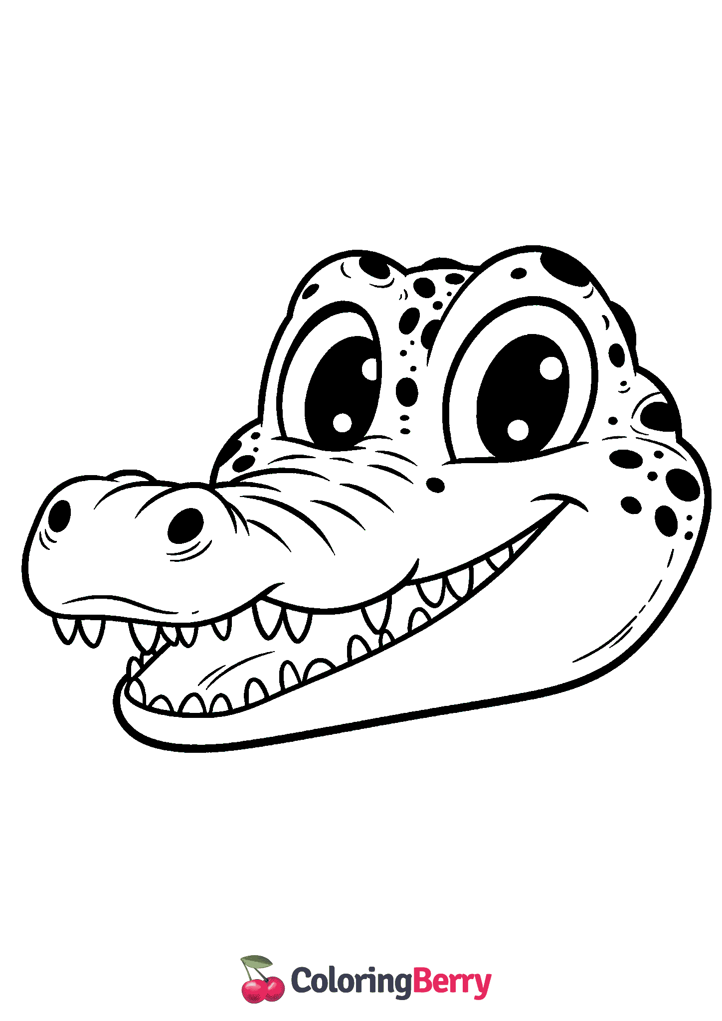Crocodile Face