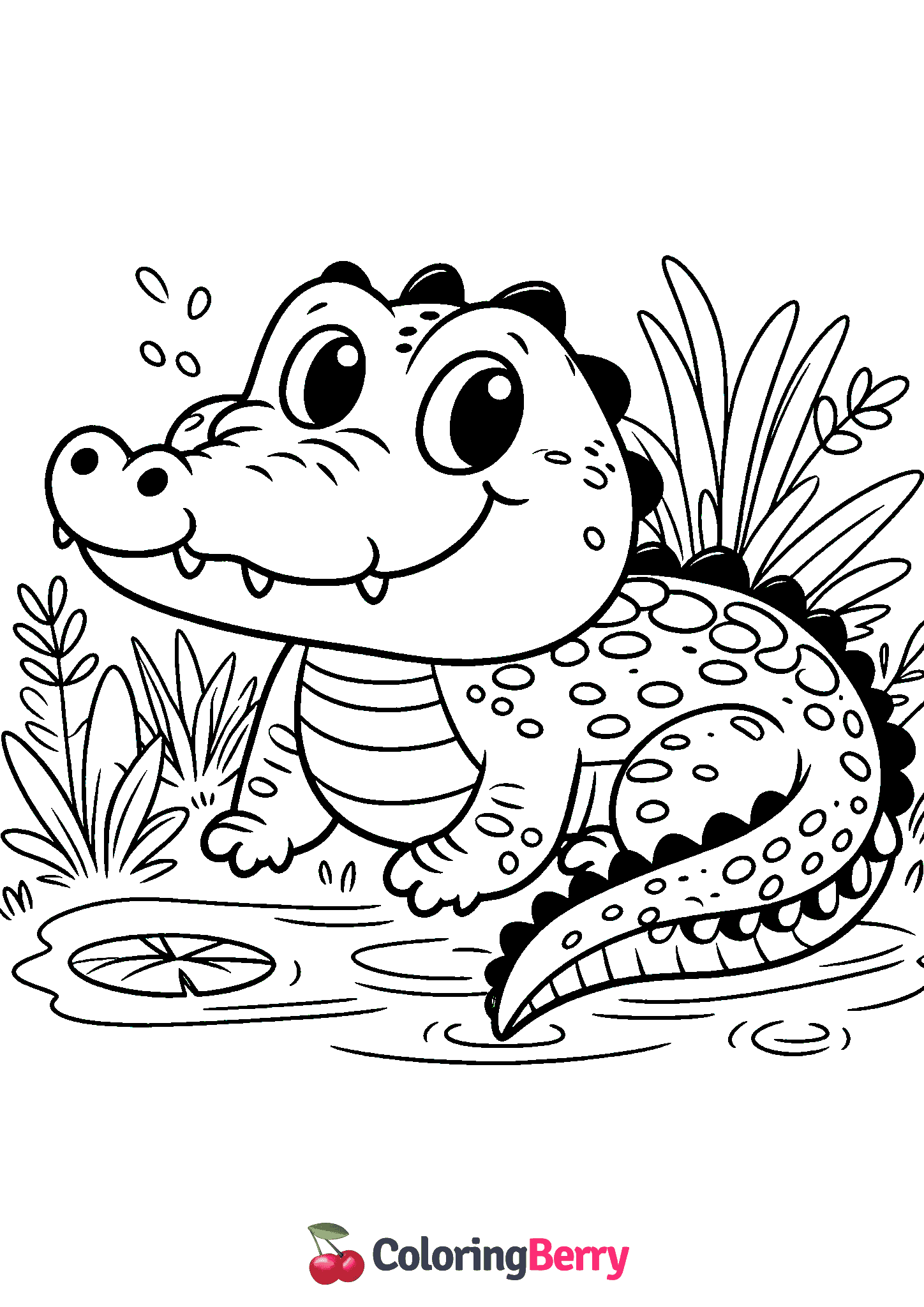 Crocodile