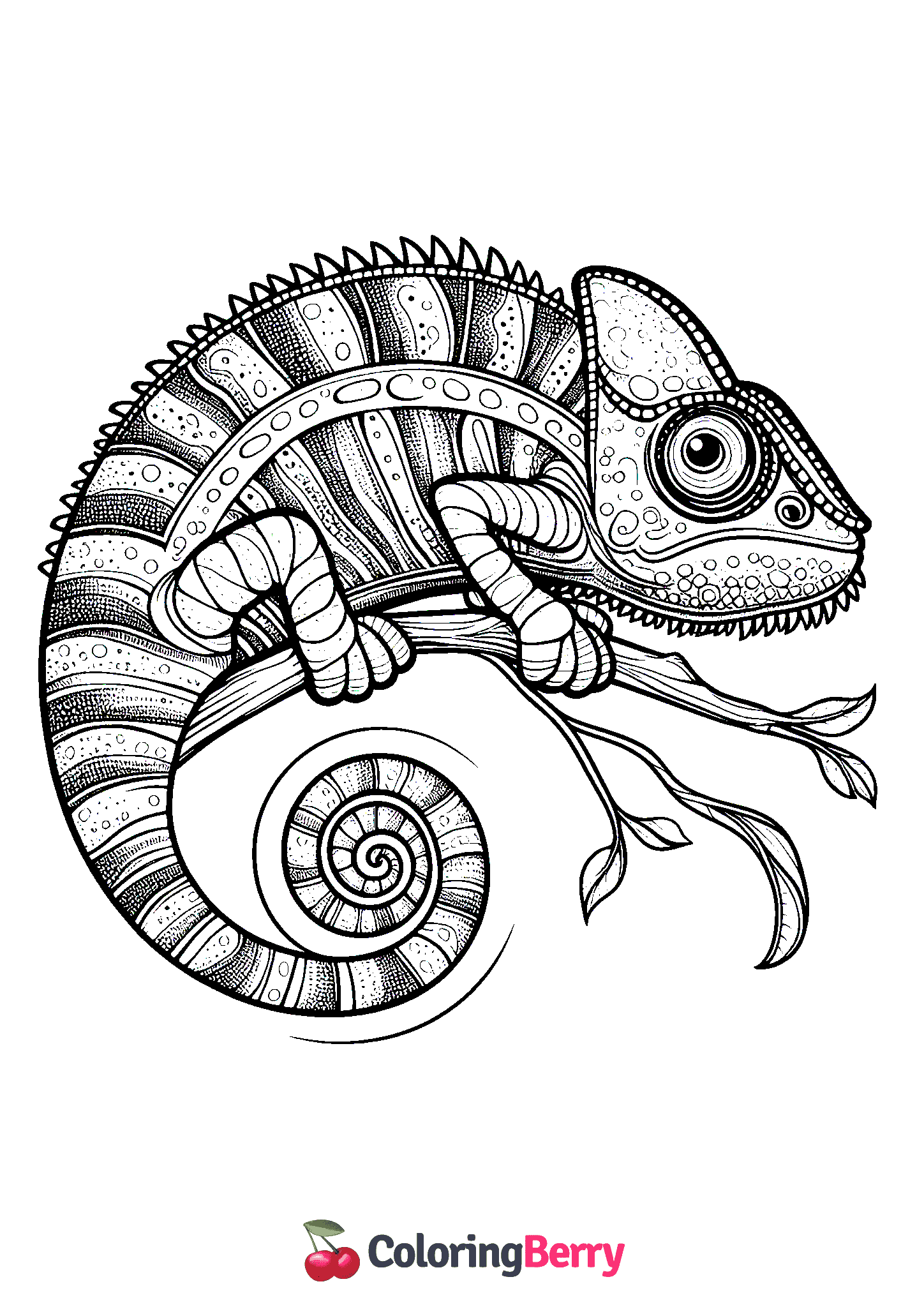 Gecko Lizard