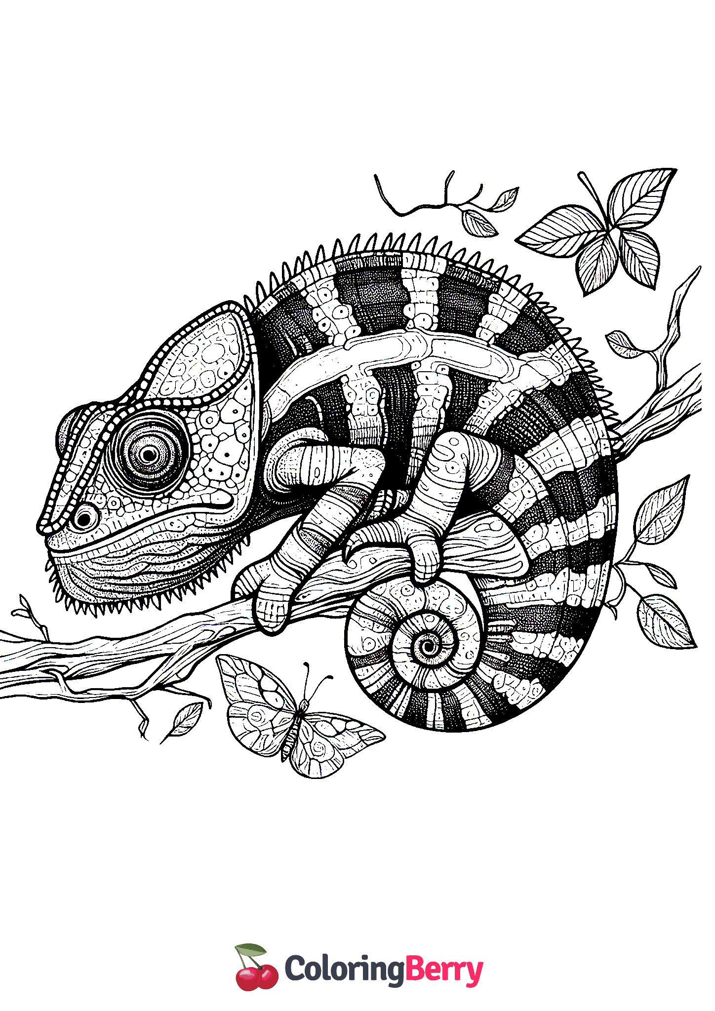 Gecko