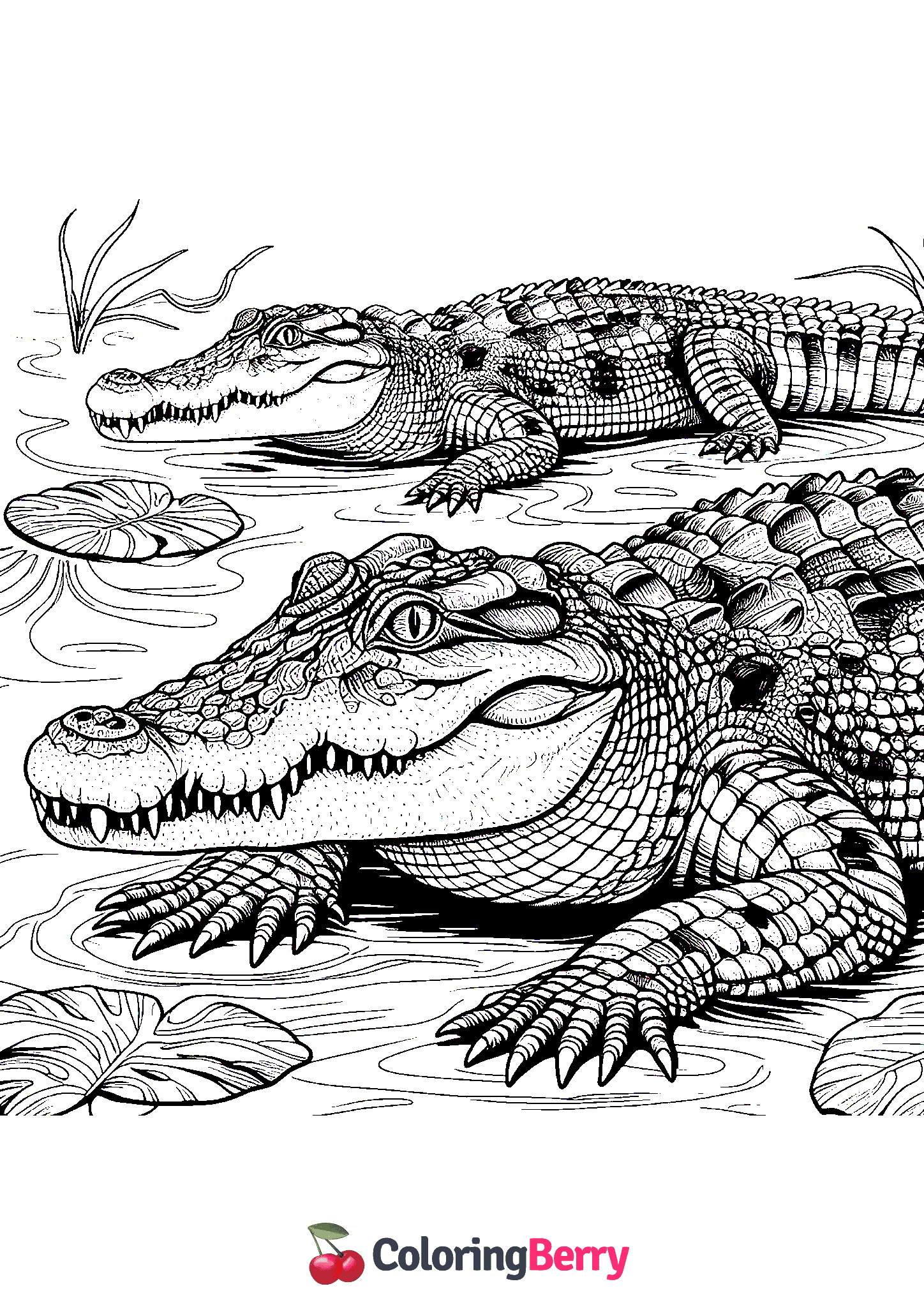Hard Crocodile