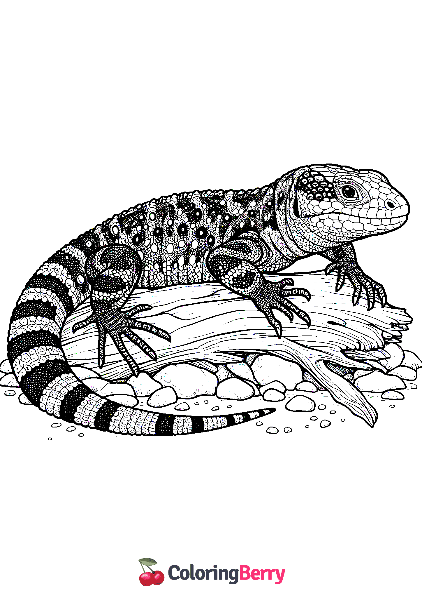 Hard Lizard