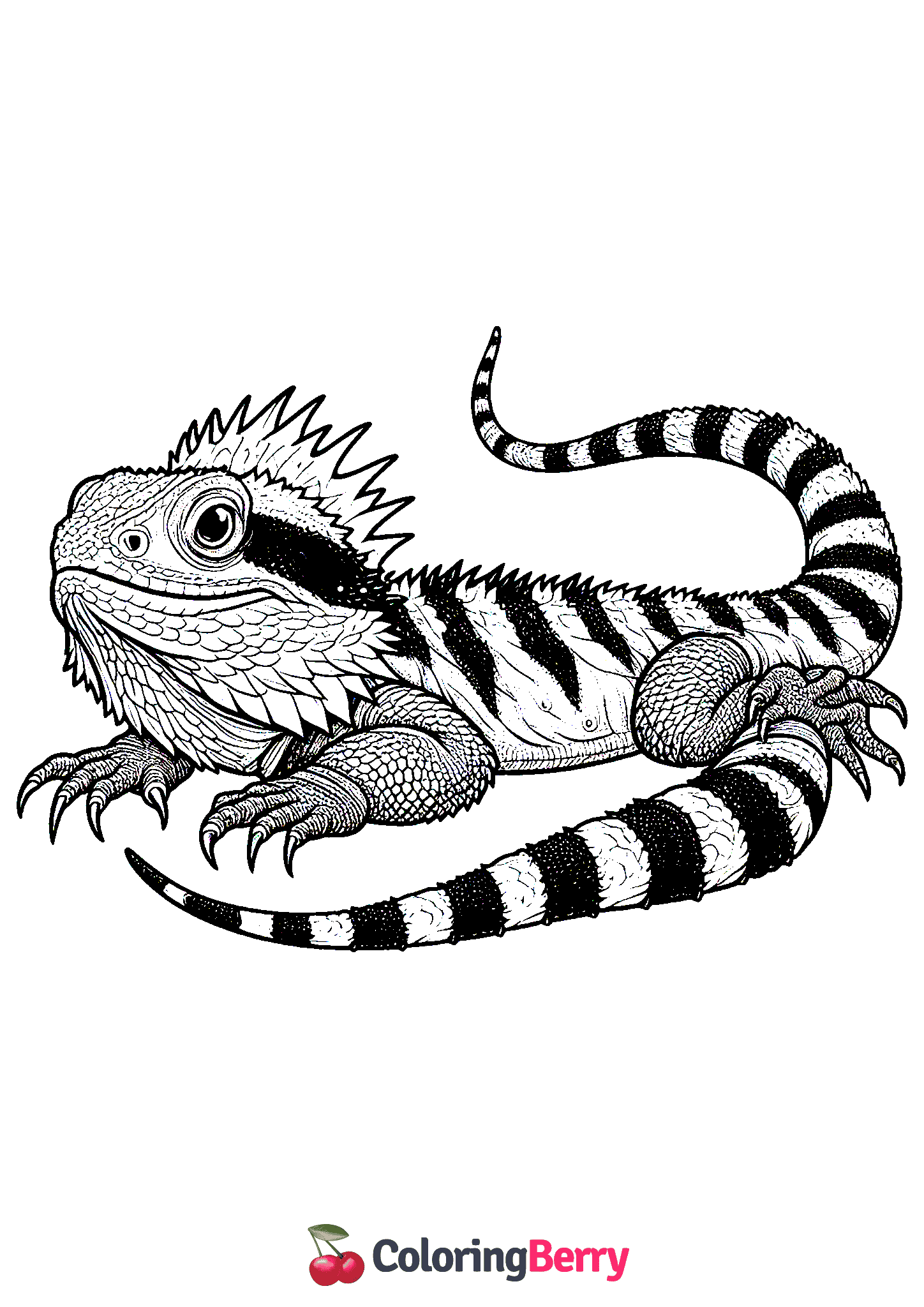 Water Dragon