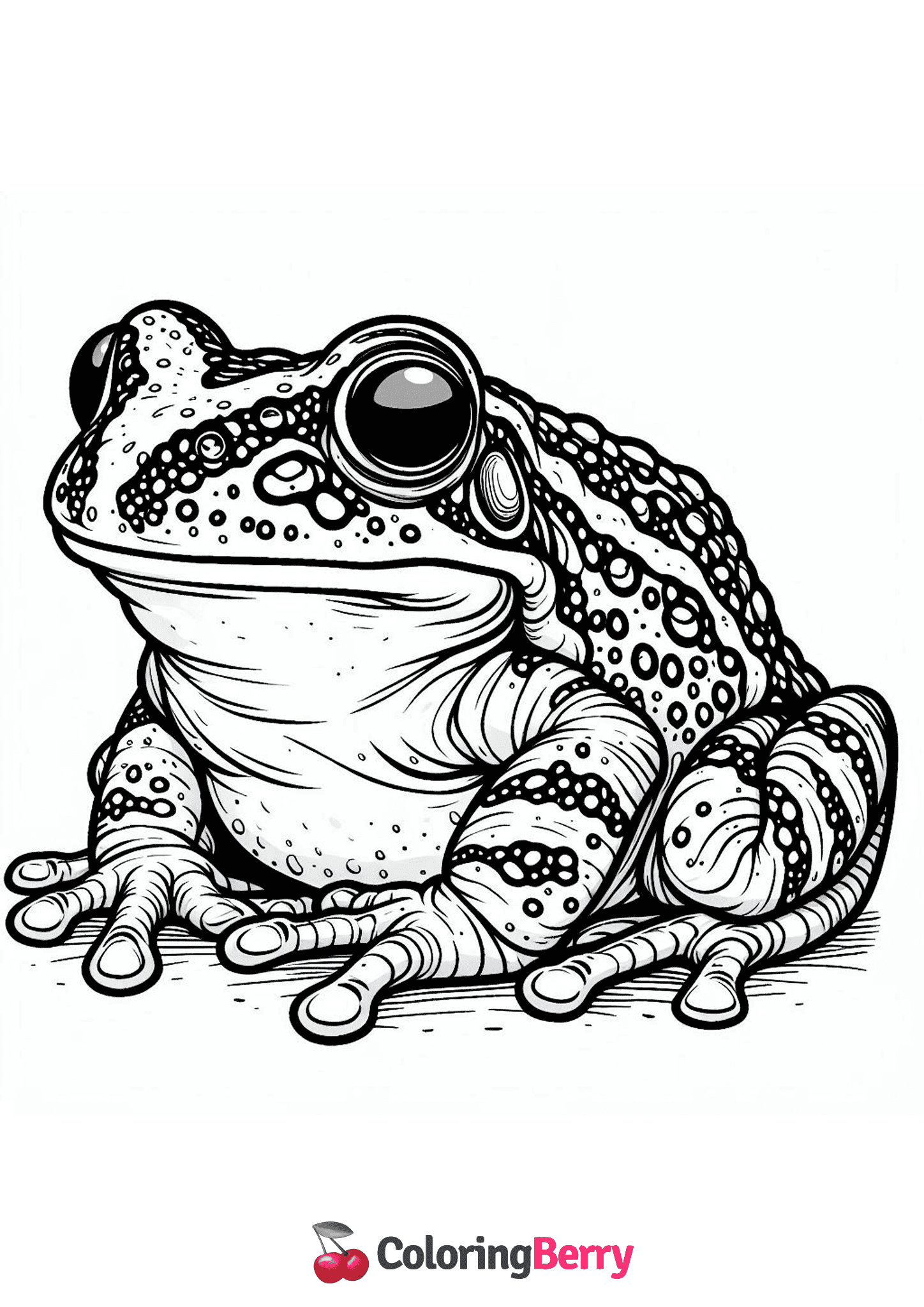 African Dwarf Frog