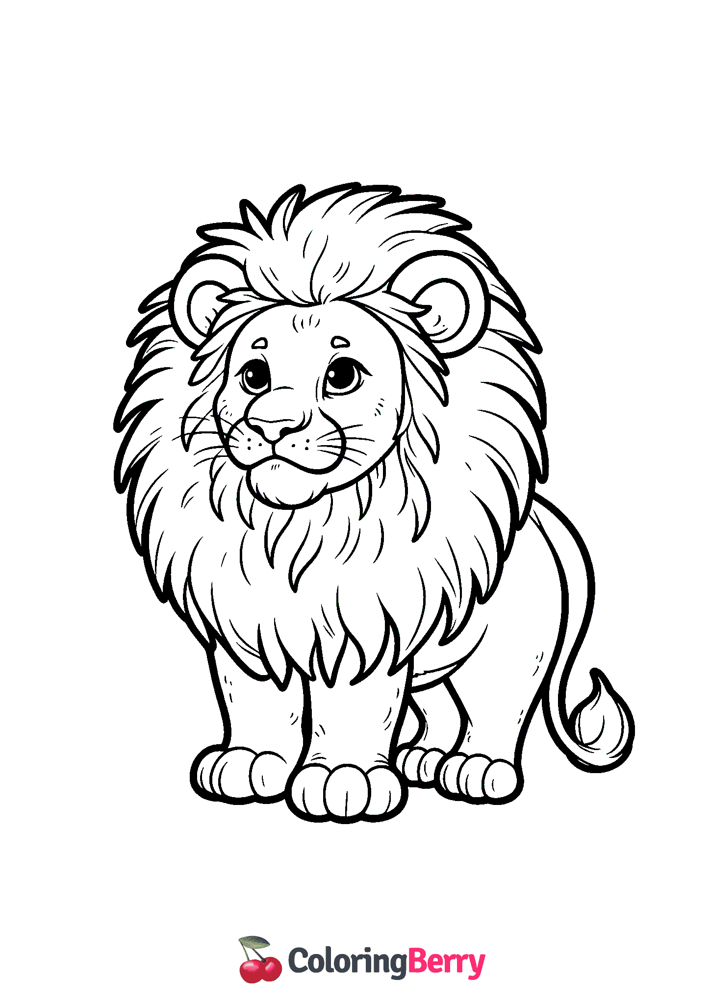 African Lion