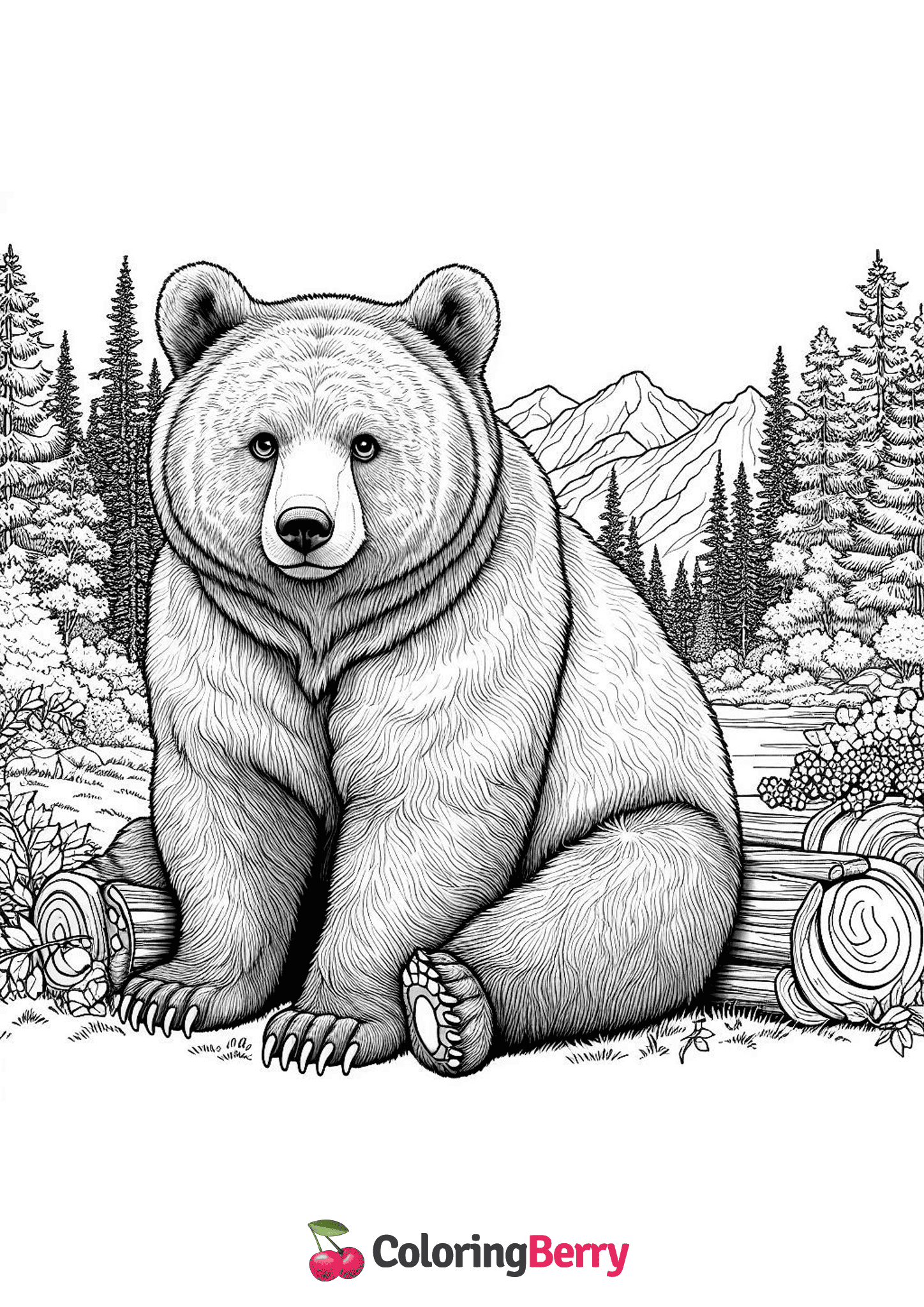 Alaska Brown Bear