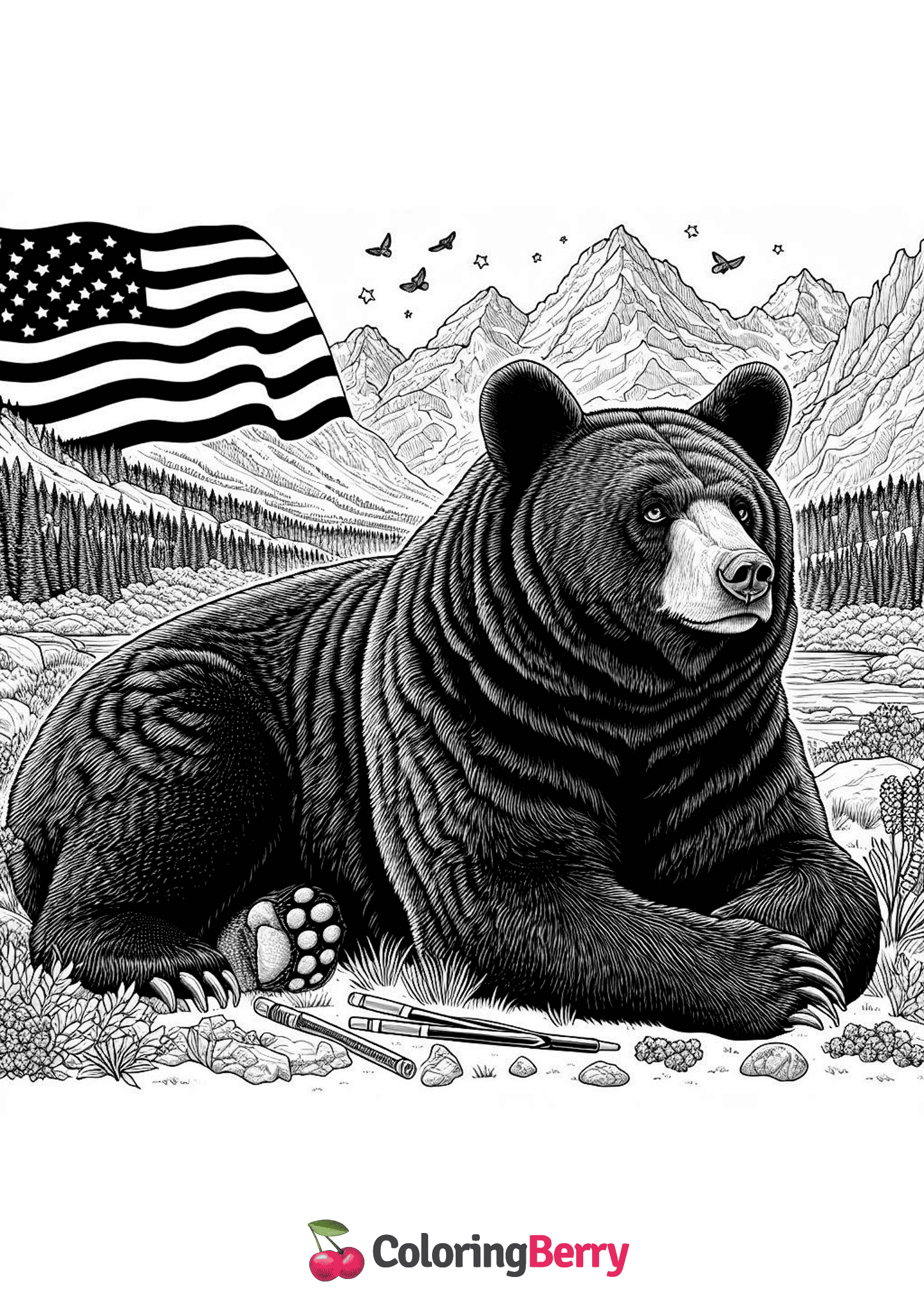 American Black Bear