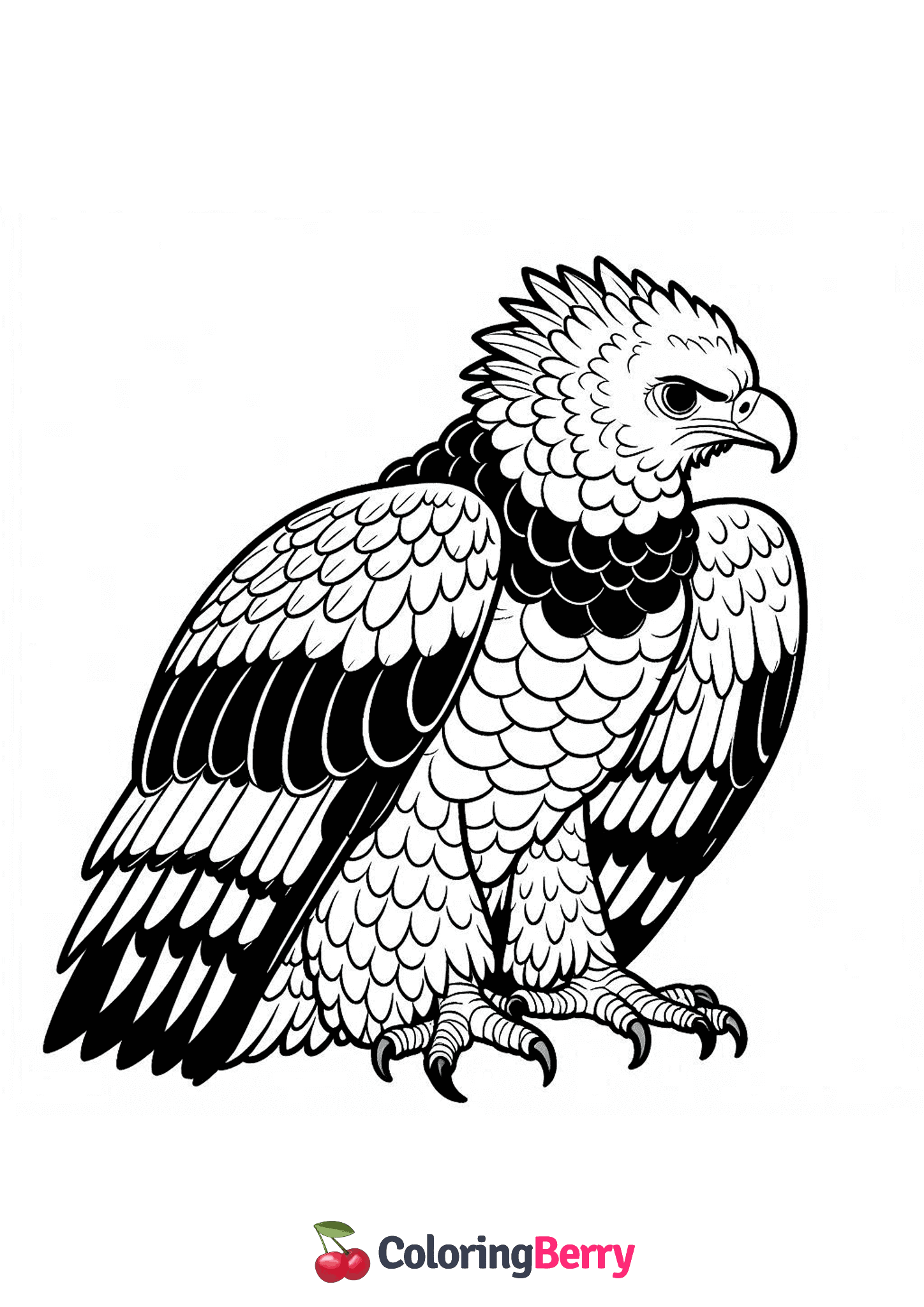 American Harpy Eagle