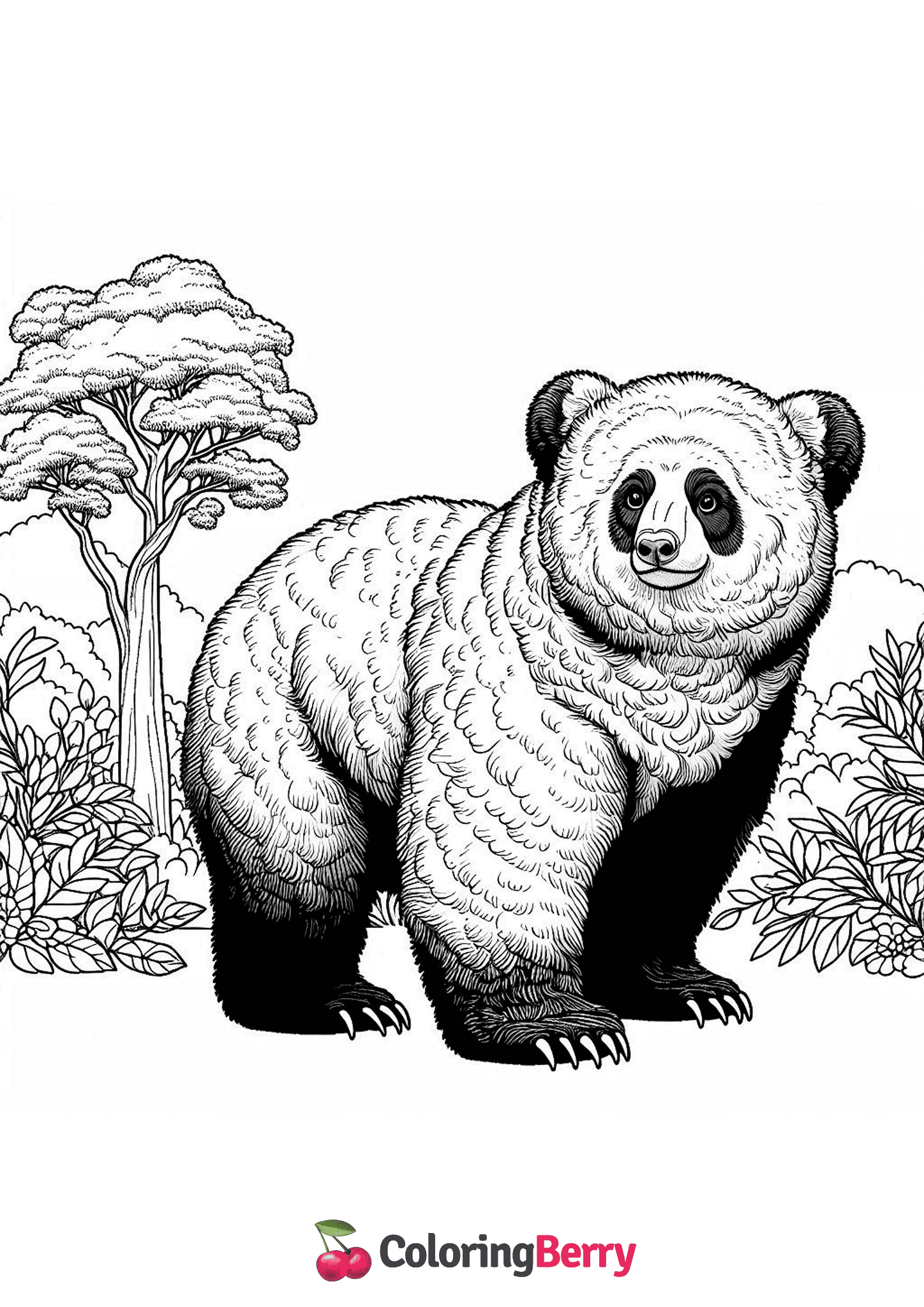 Andean Bear