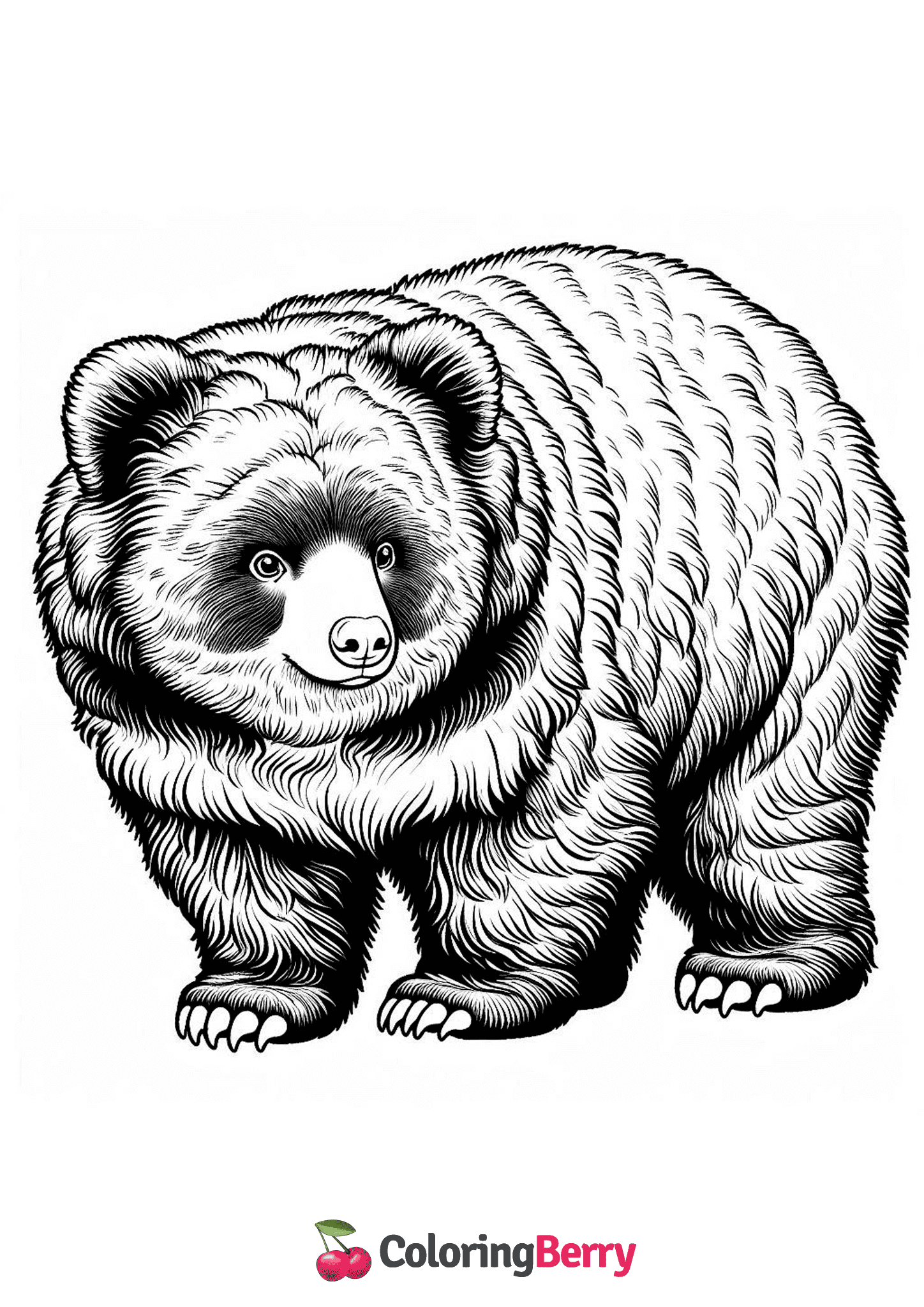 Andean Spectacled Bear