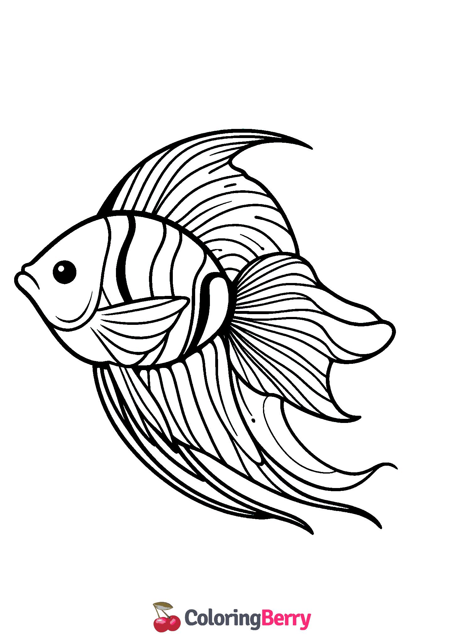 Angel Fish