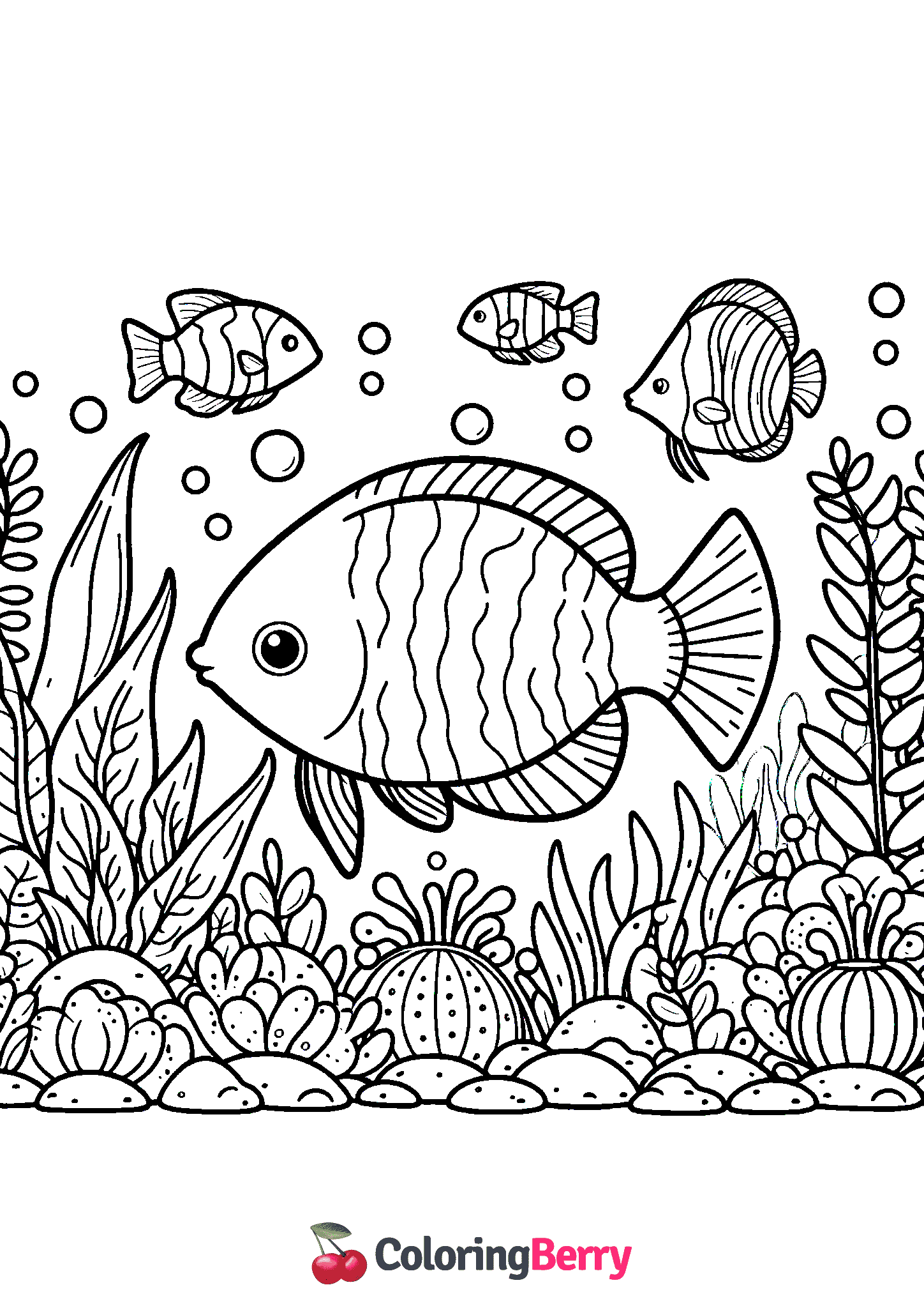 Aquarium Fish