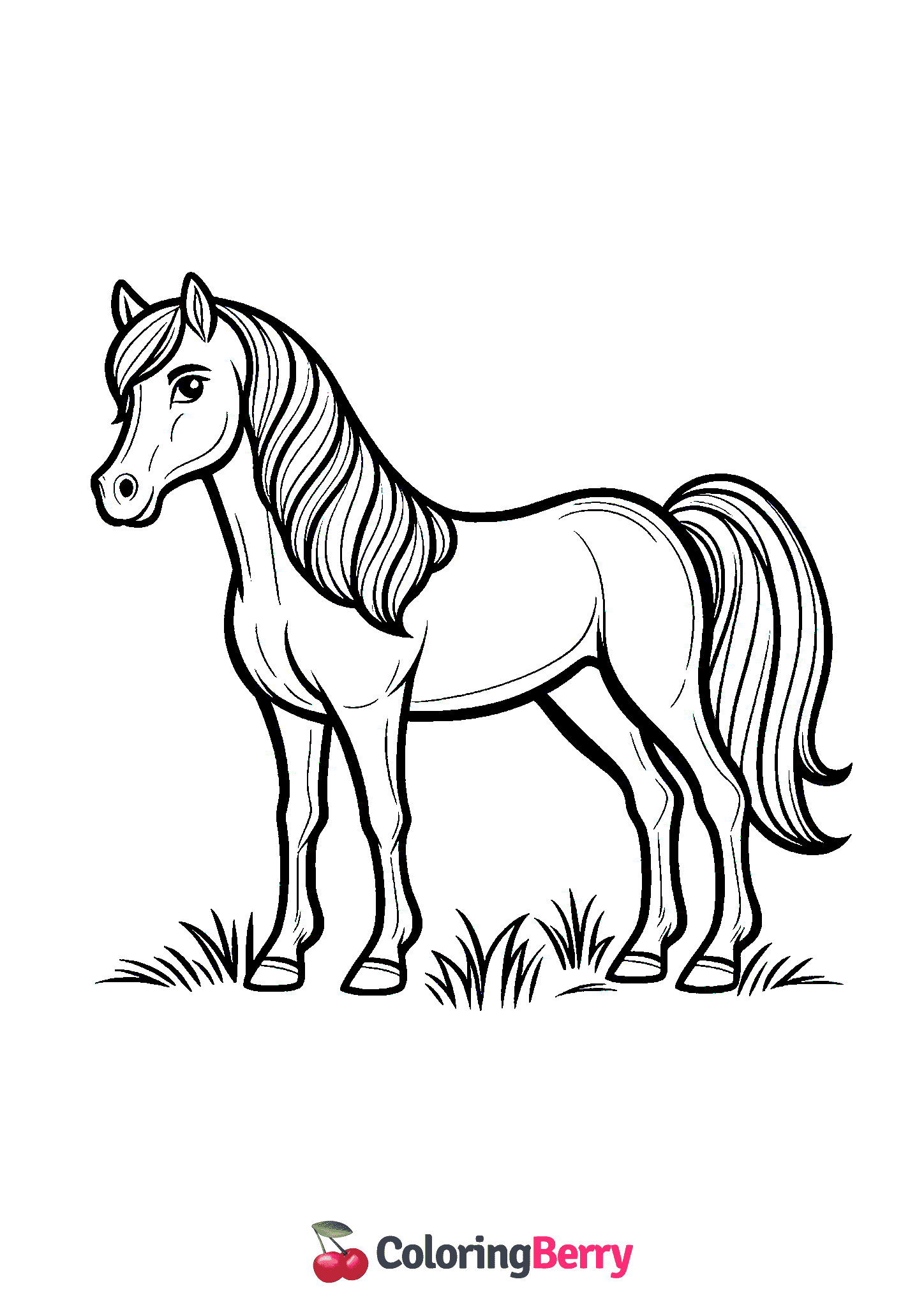 Arabian Horse