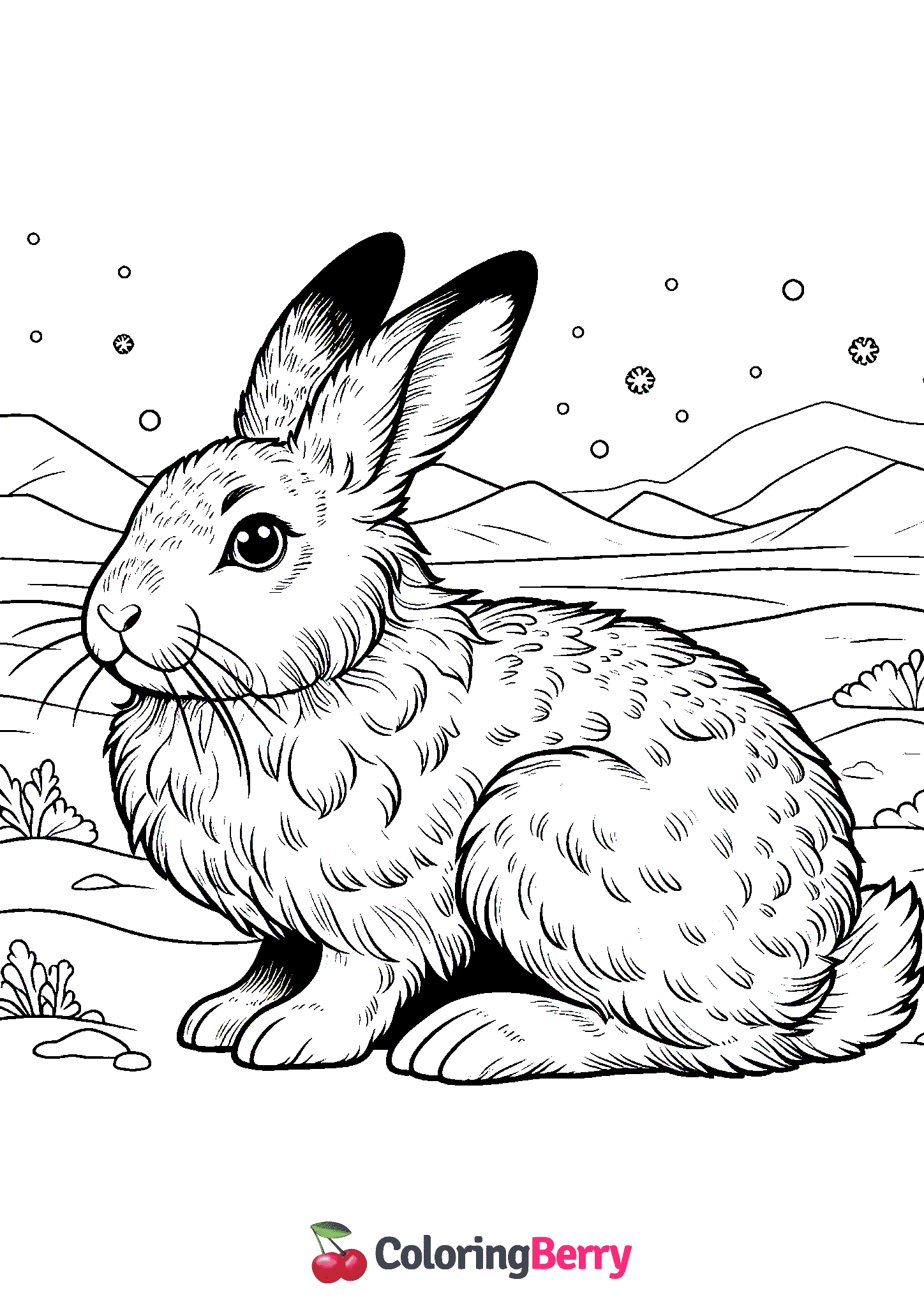 Arctic Hare
