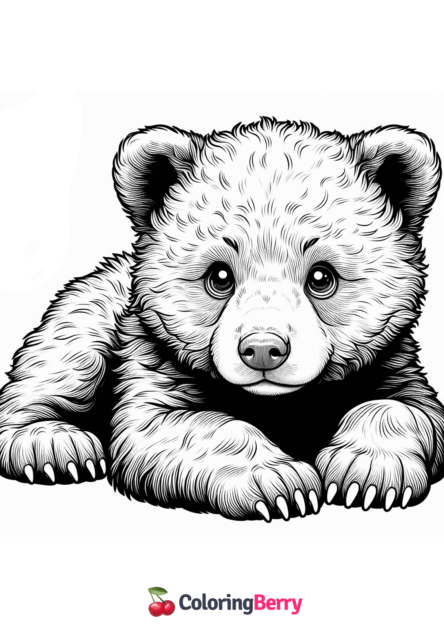 Asian Black Bear Cub